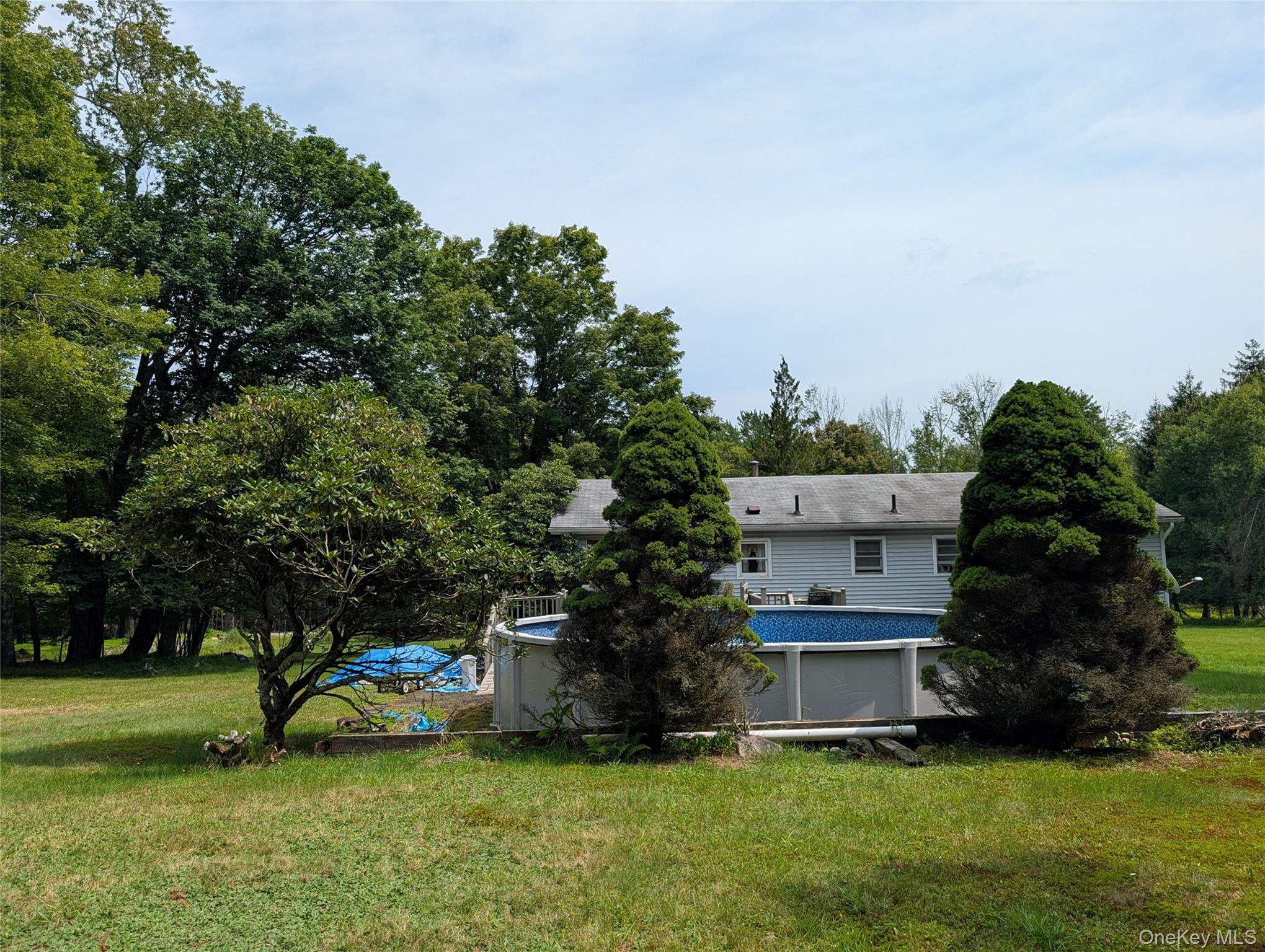 77 Murphy Road Property Photo 24