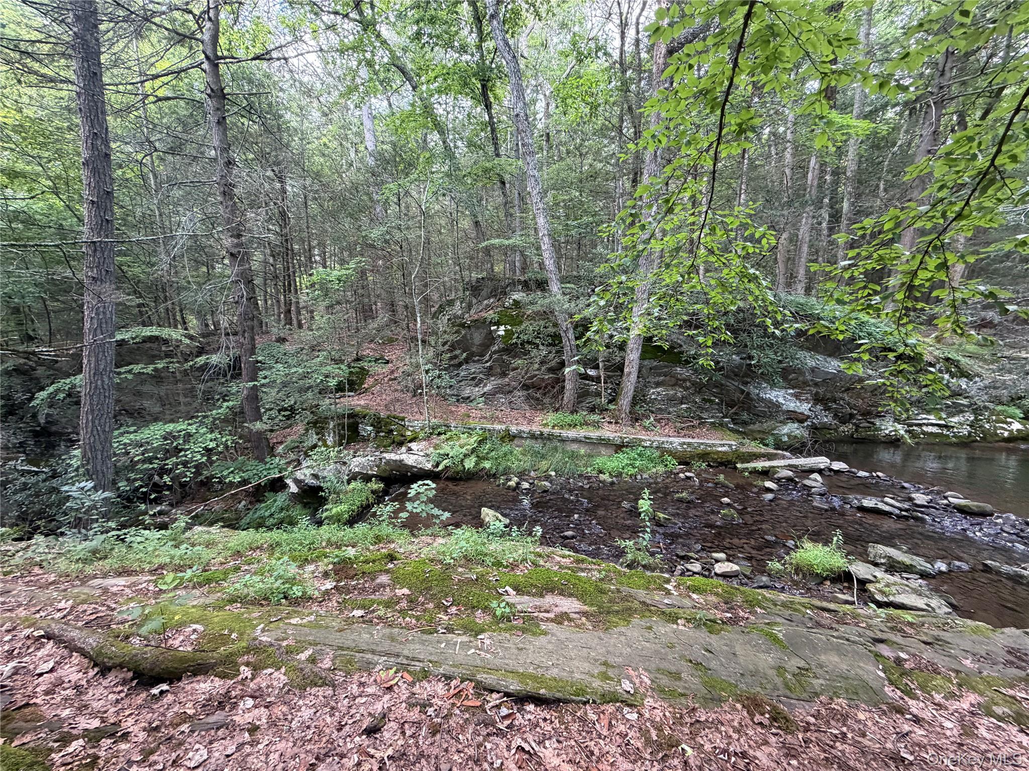 Route 209 Property Photo 2