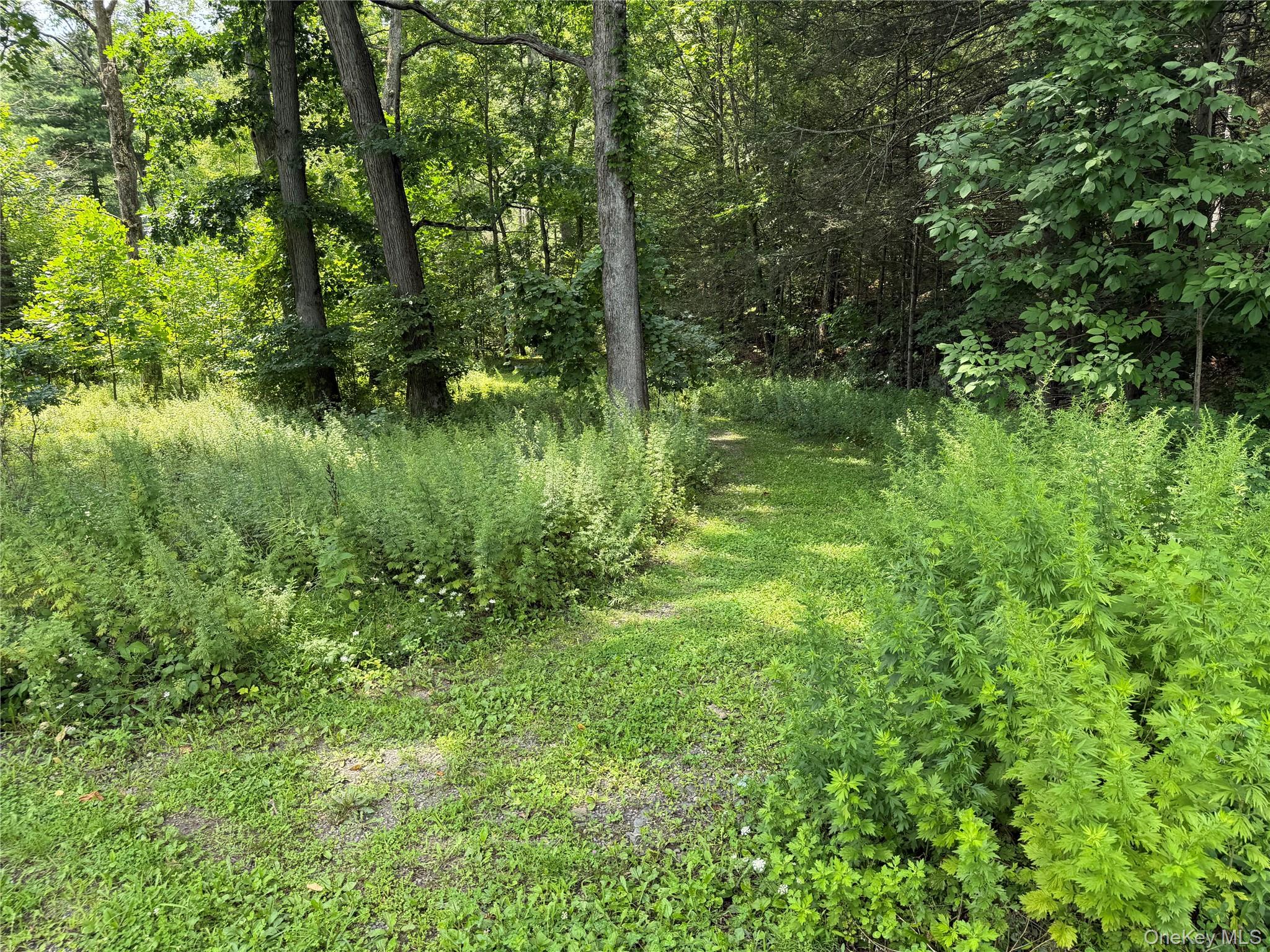 Route 209 Property Photo 3
