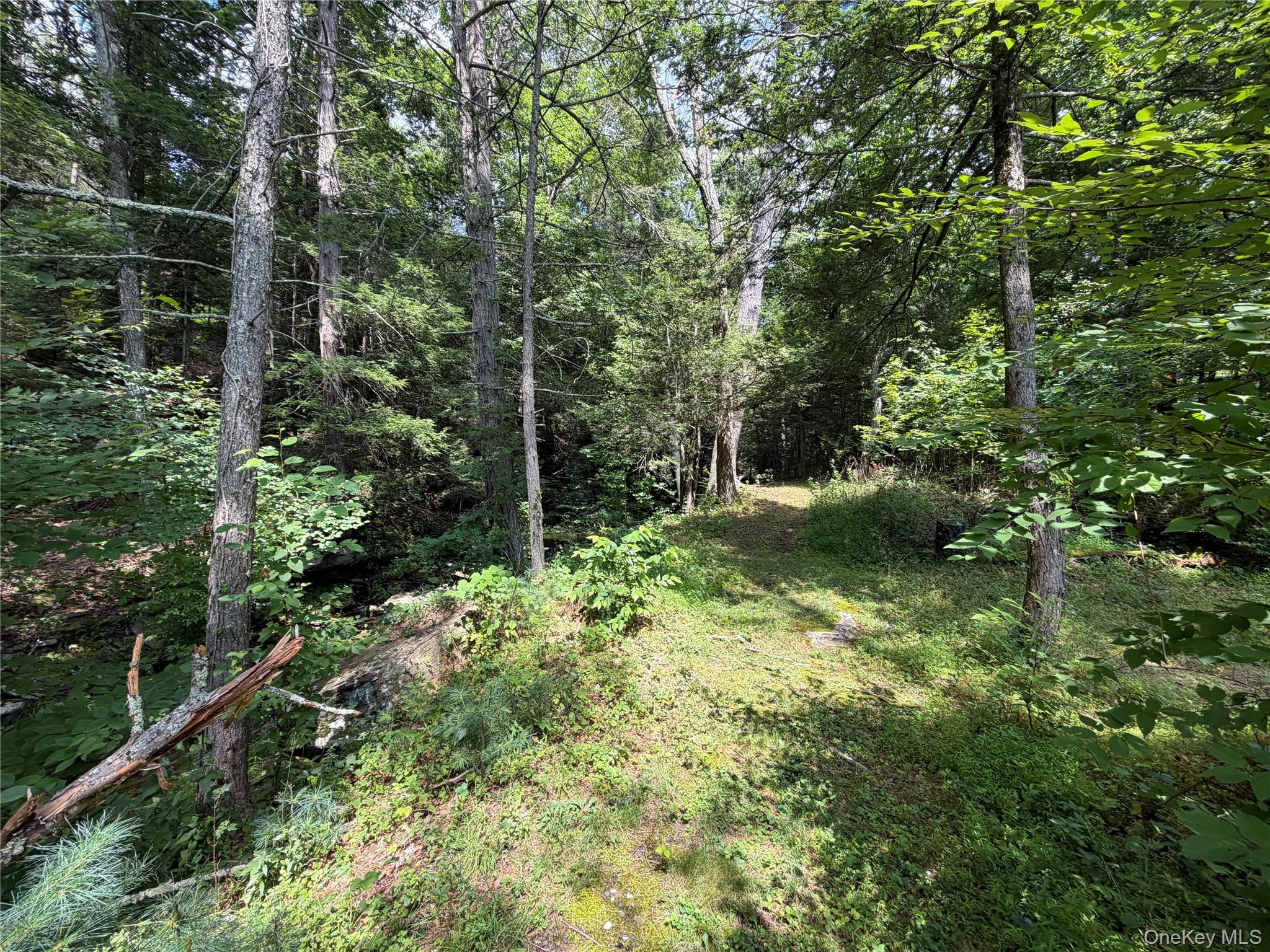 Route 209 Property Photo 4