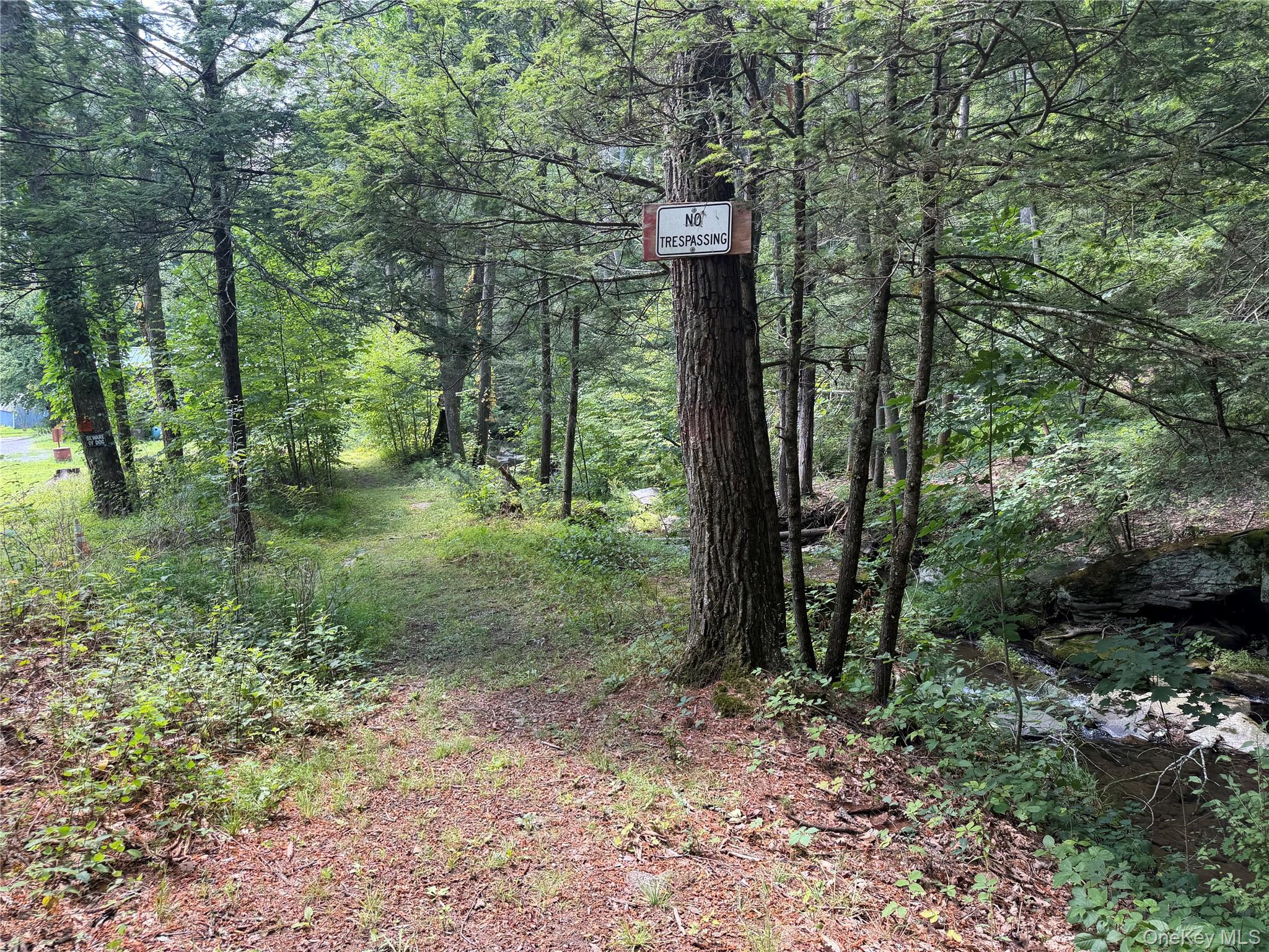 Route 209 Property Photo 5