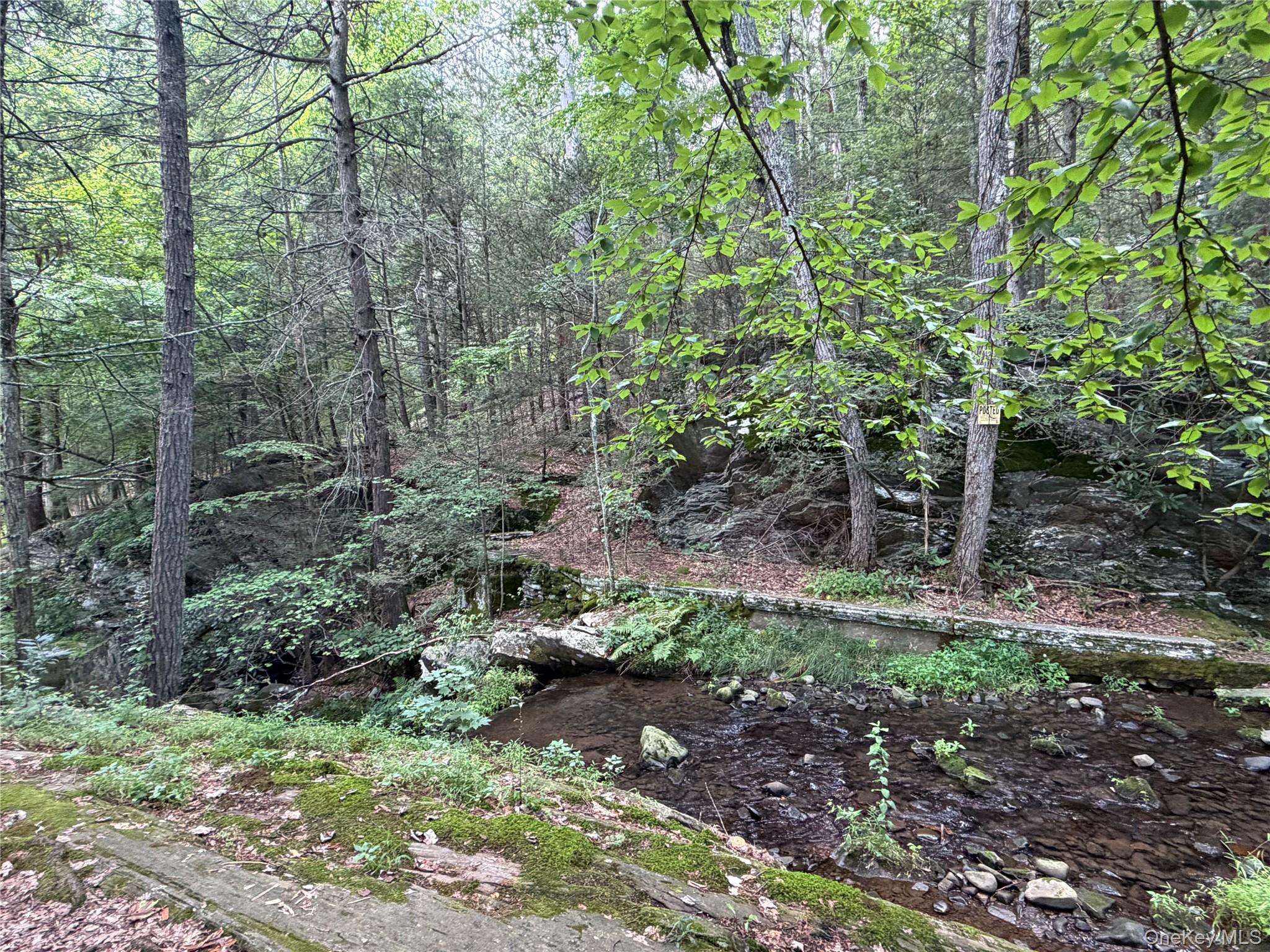 Route 209 Property Photo 6