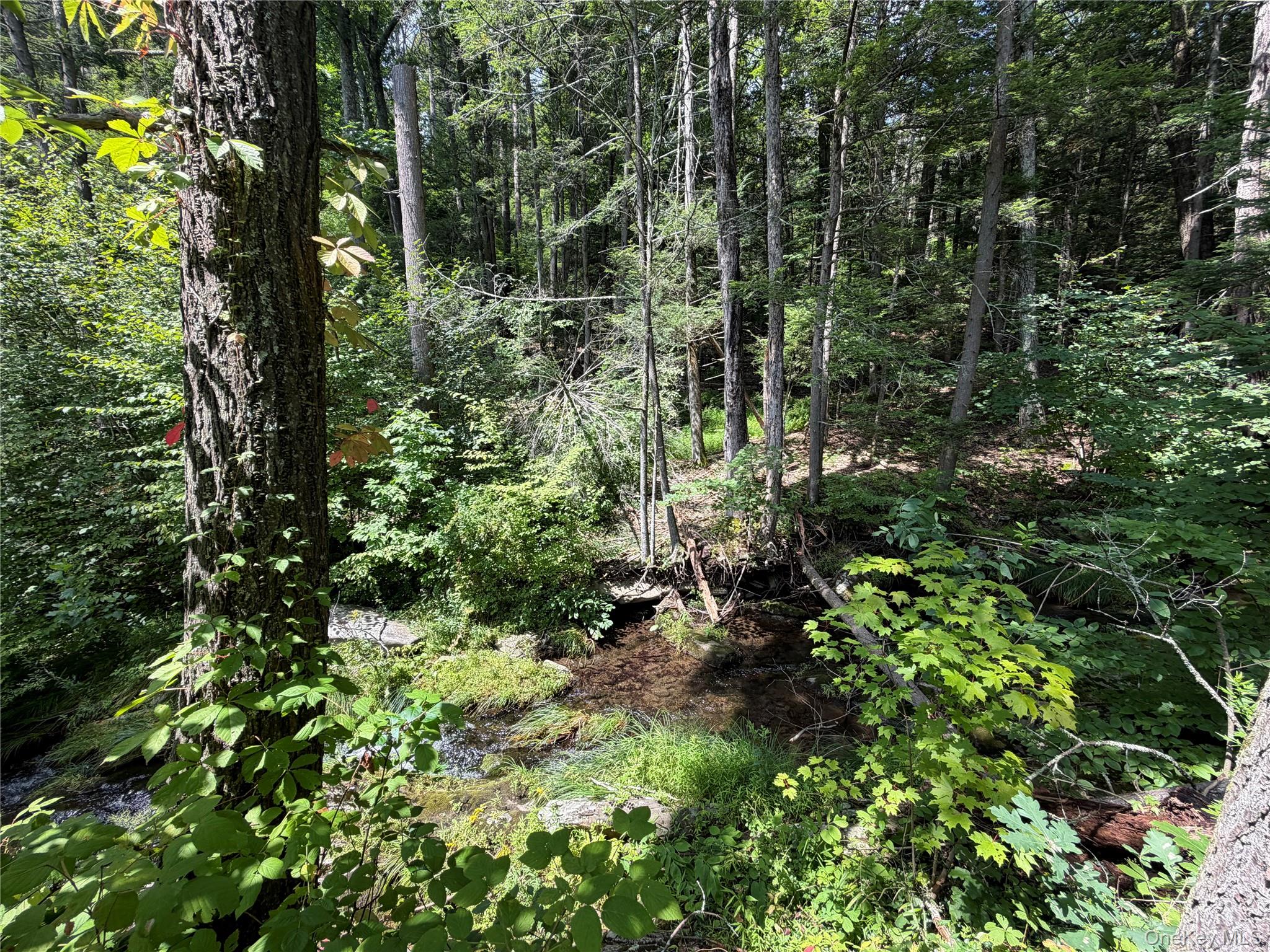 Route 209 Property Photo 7