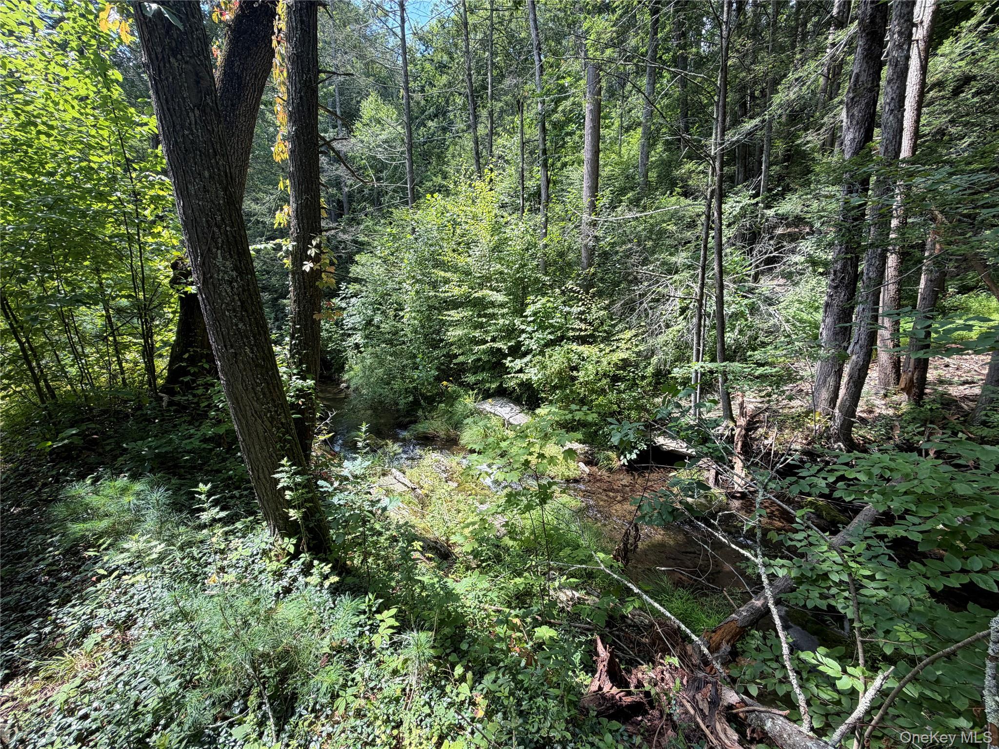 Route 209 Property Photo 8