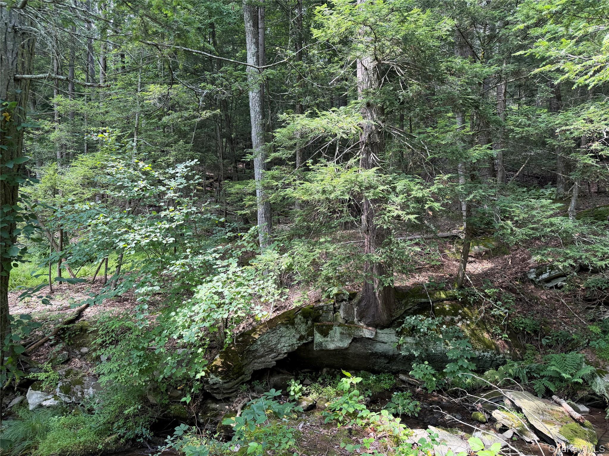 Route 209 Property Photo 9