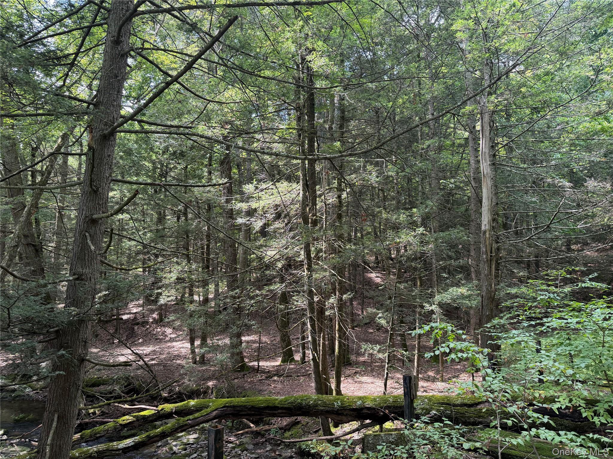 Route 209 Property Photo 10