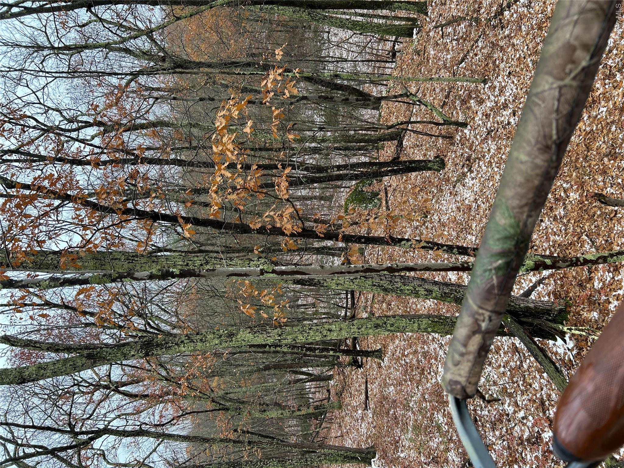 Route 209 Property Photo 14
