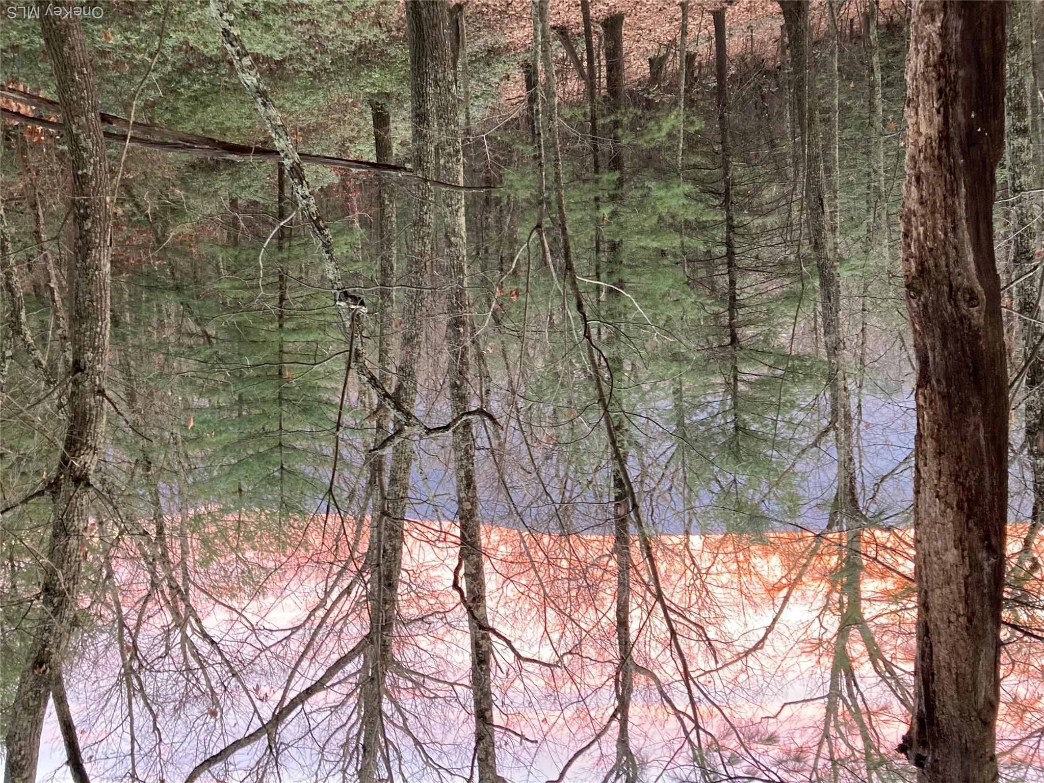 Route 209 Property Photo 15