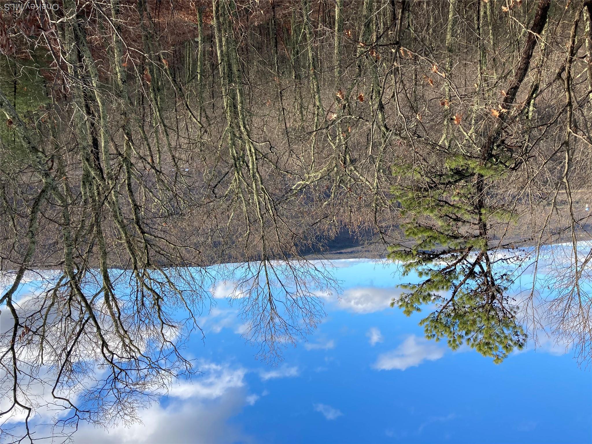 Route 209 Property Photo 17