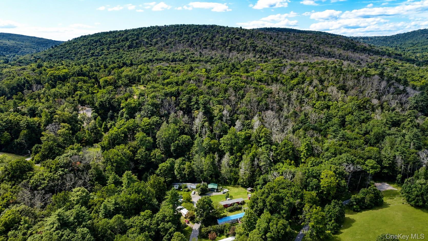 Route 209 Property Photo 19