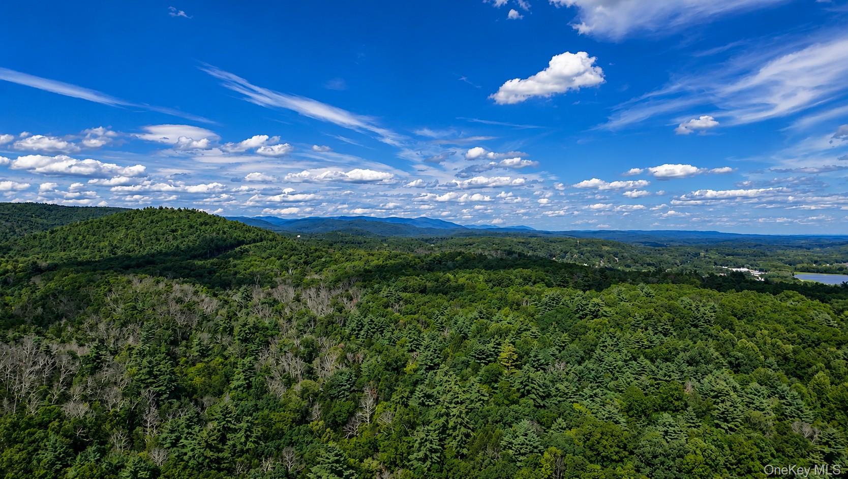 Route 209 Property Photo 22