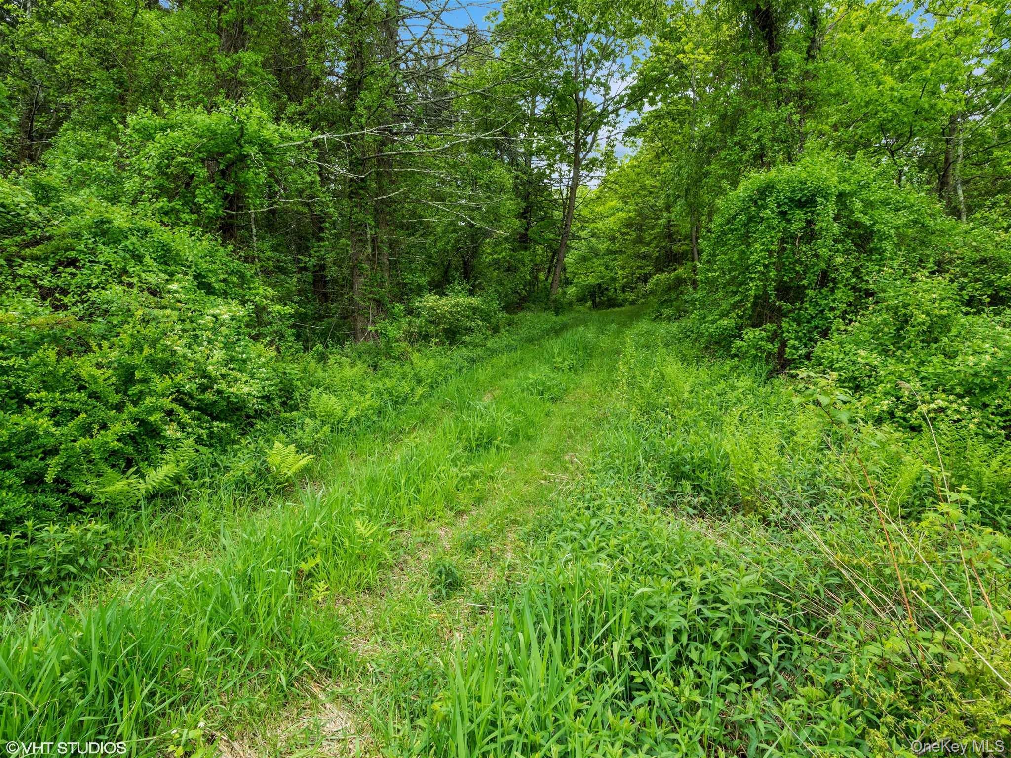 Skunks Misery Lot 2 Road Property Photo 17