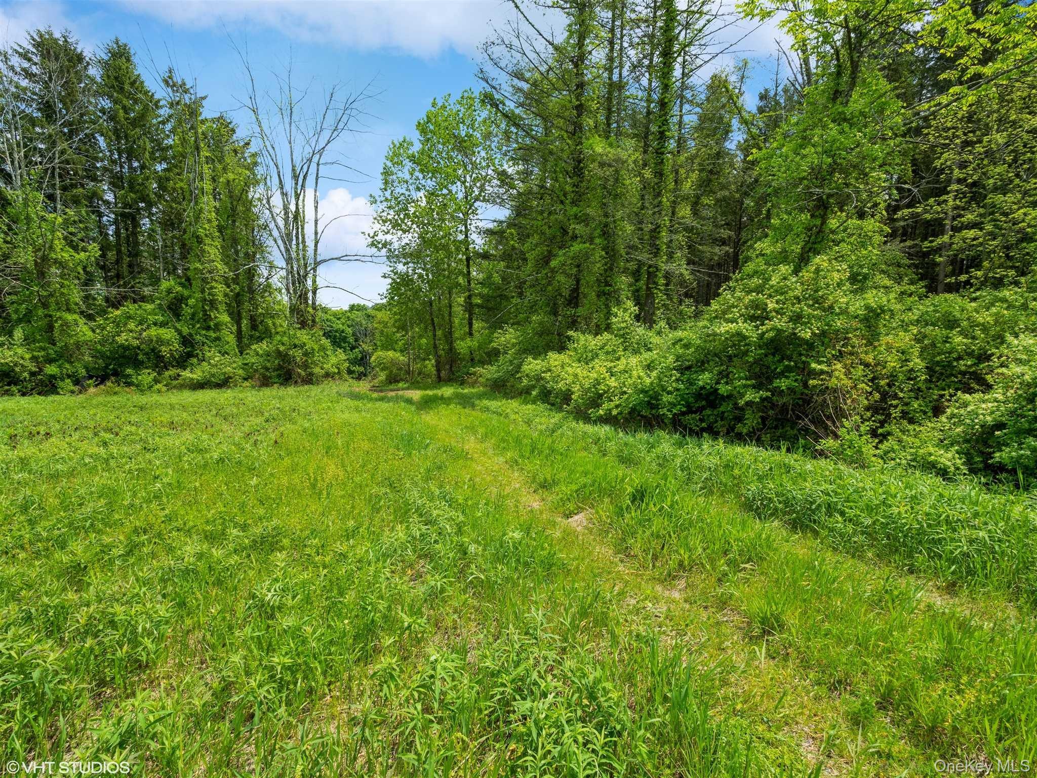 Skunks Misery Lot 2 Road Property Photo 19