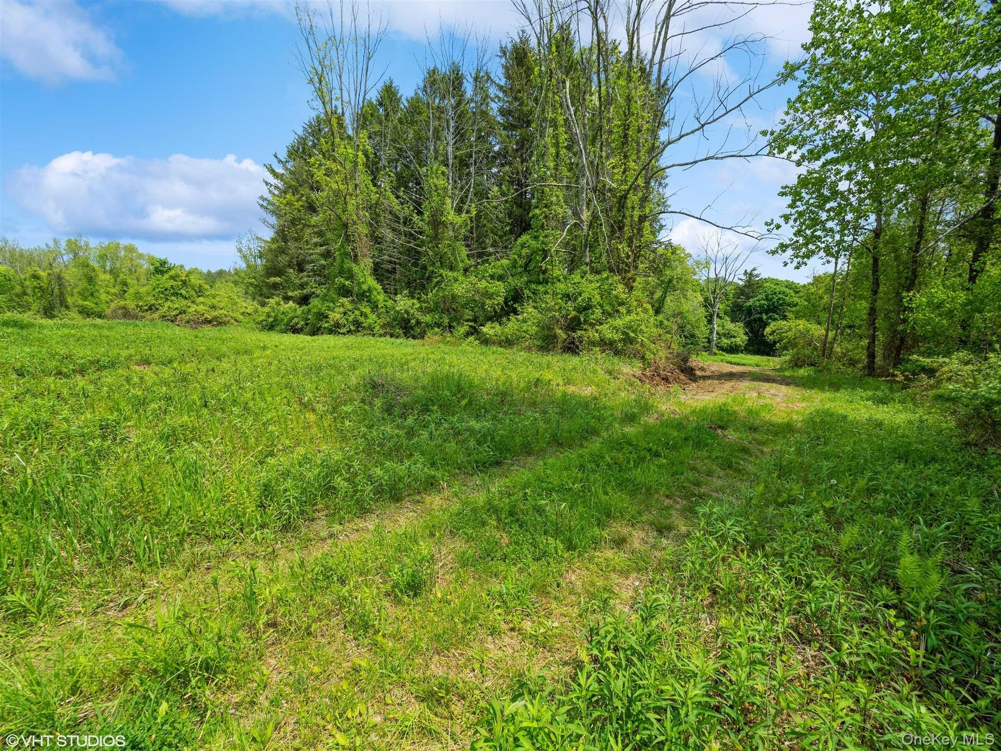 Skunks Misery Lot 2 Road Property Photo 20