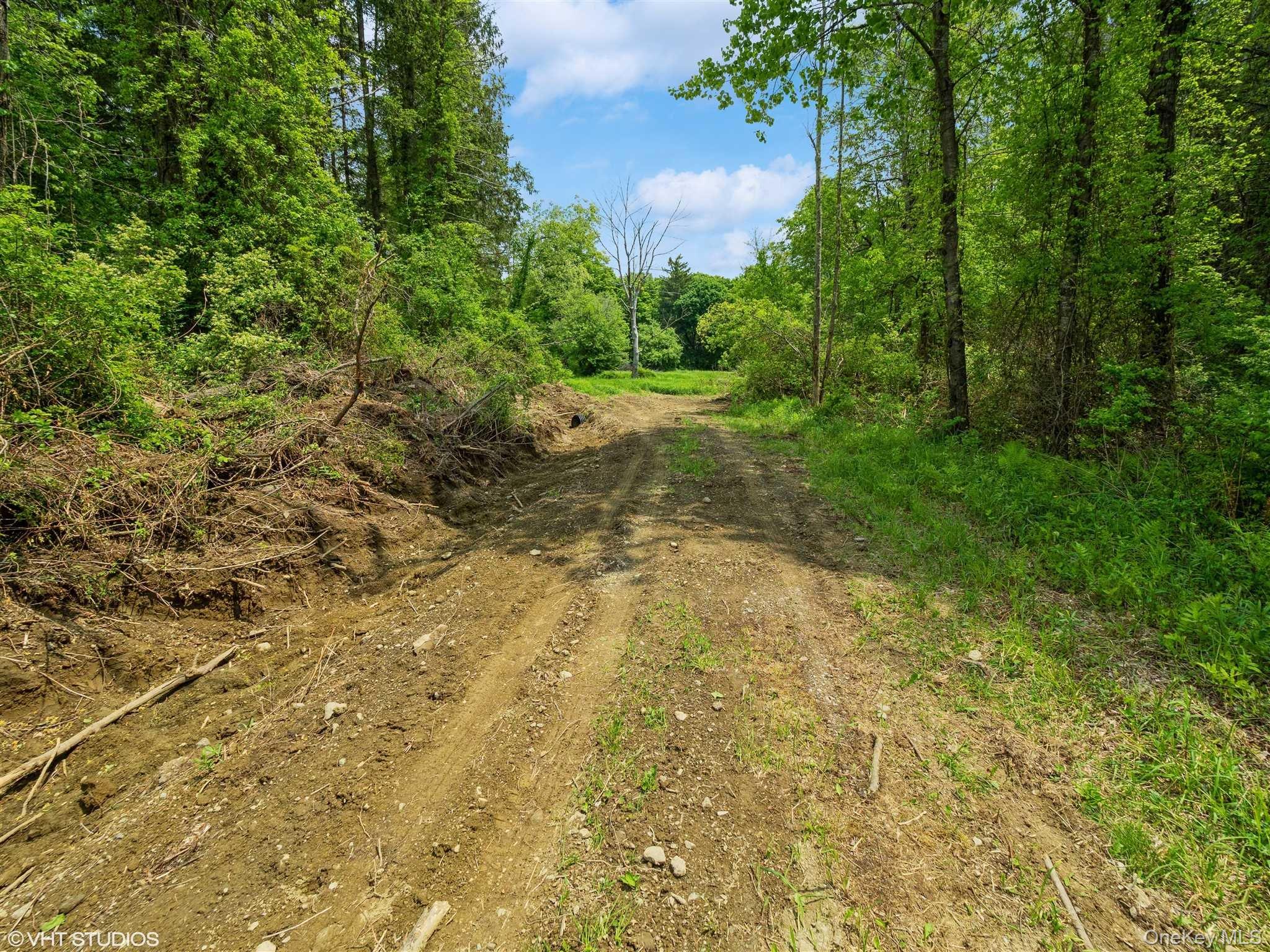 Skunks Misery Lot 2 Road Property Photo 23