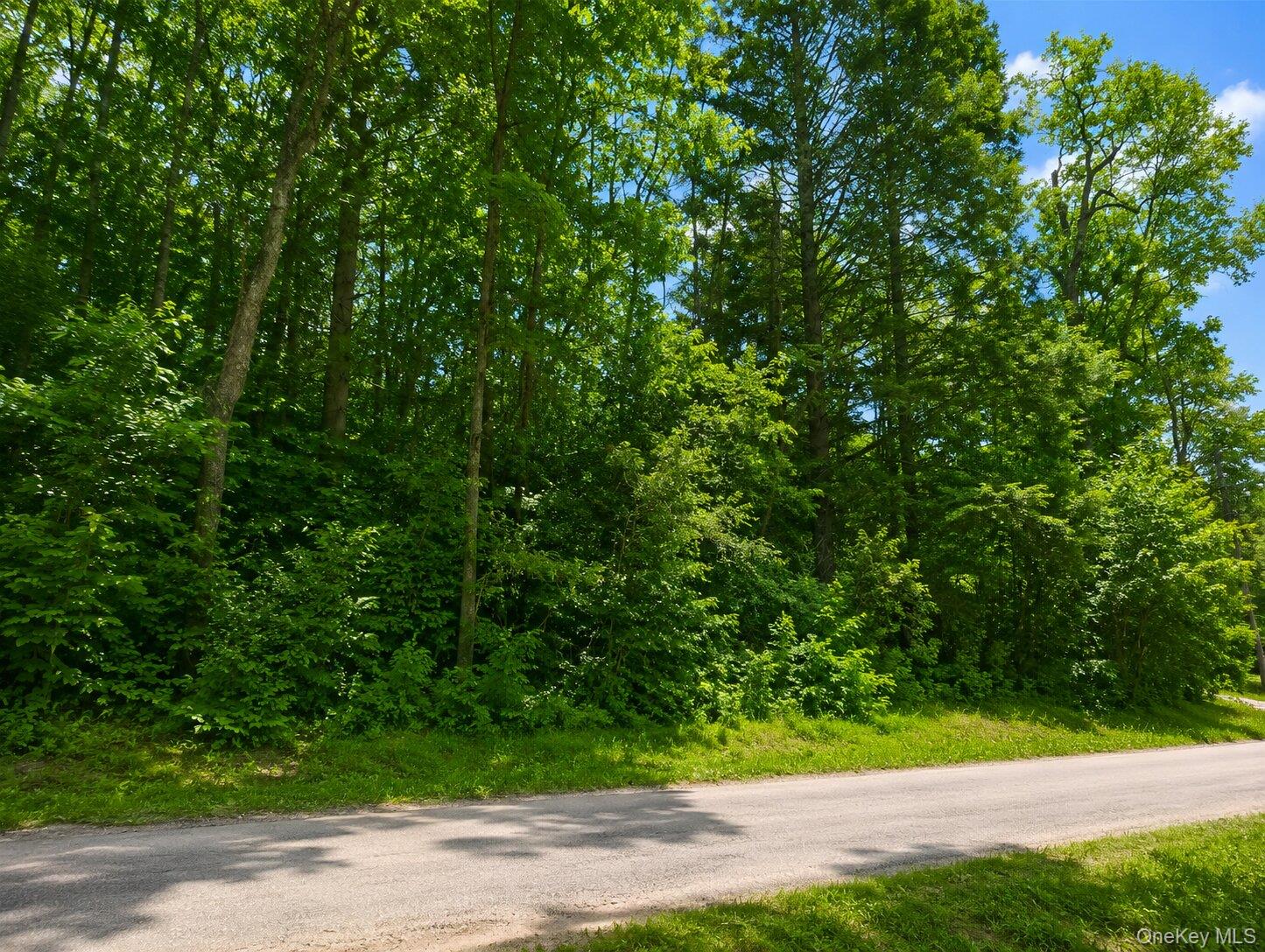 Benton Hollow Road Property Photo 1