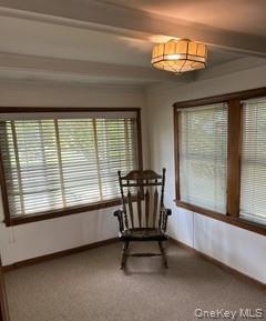 25 Howard Street Property Photo 6