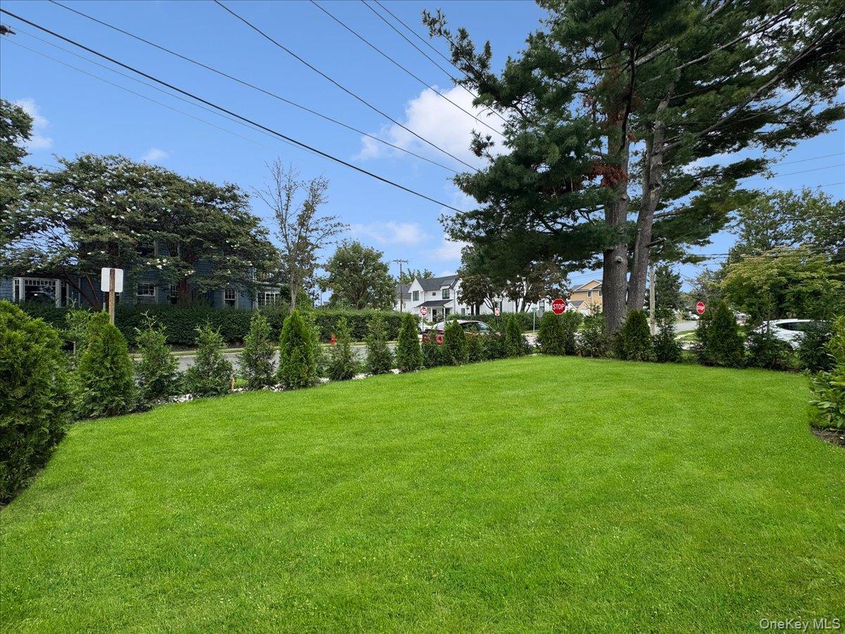 26 Belleview Avenue Property Photo 44