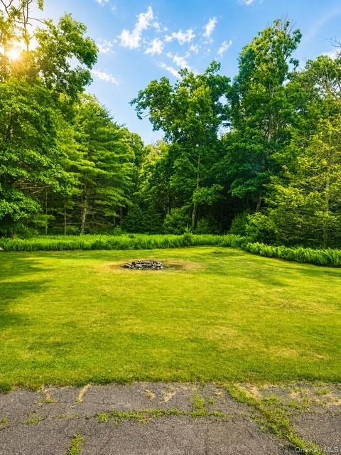 183 White Road Property Photo 2