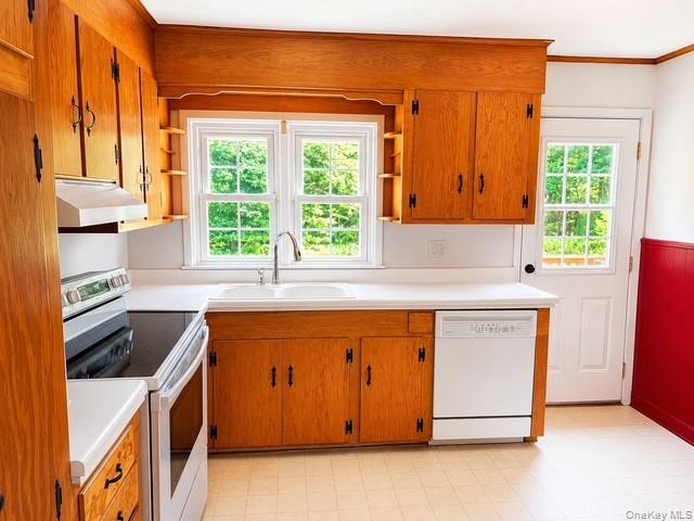 183 White Road Property Photo 3