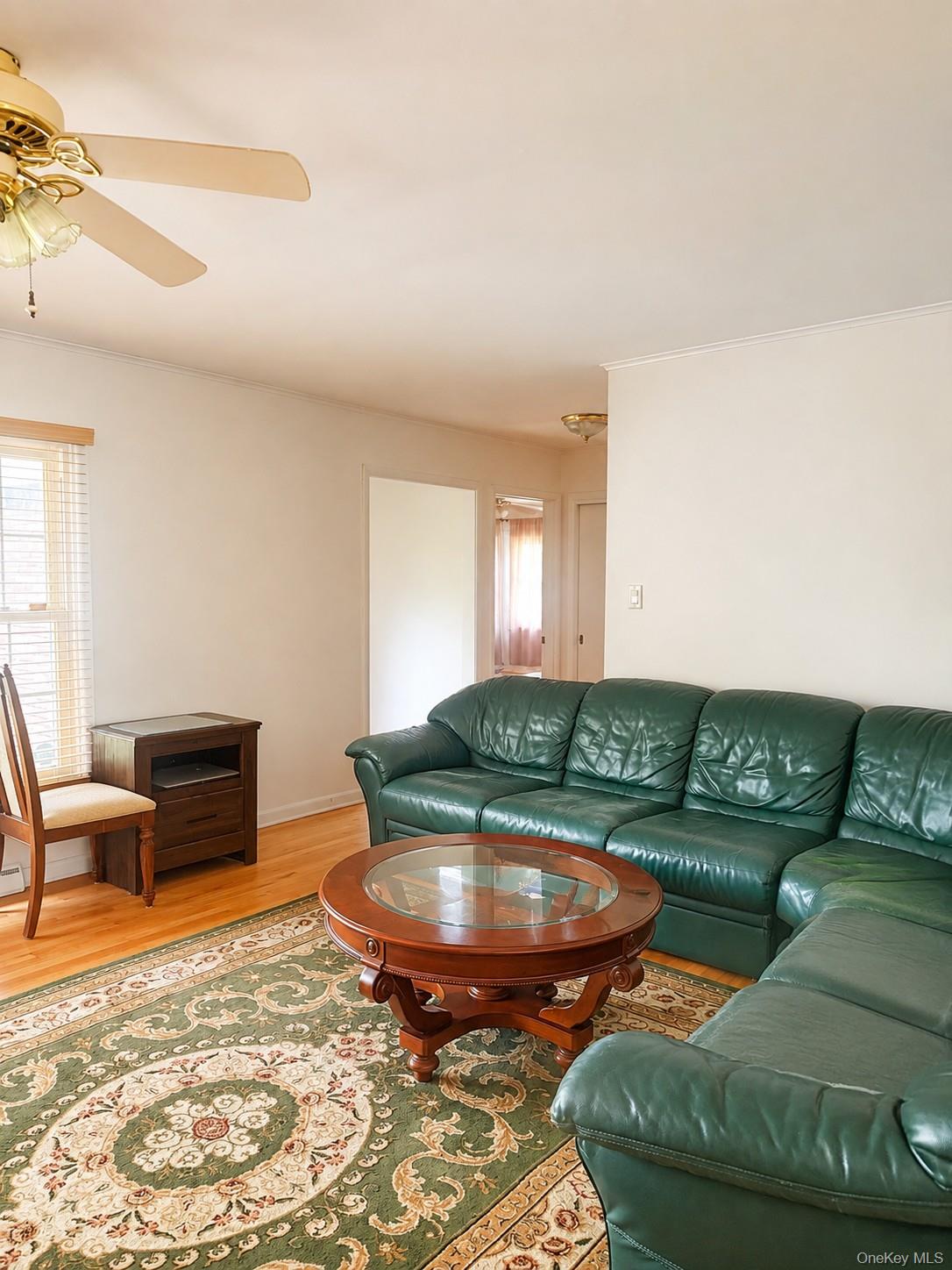 183 White Road Property Photo 16