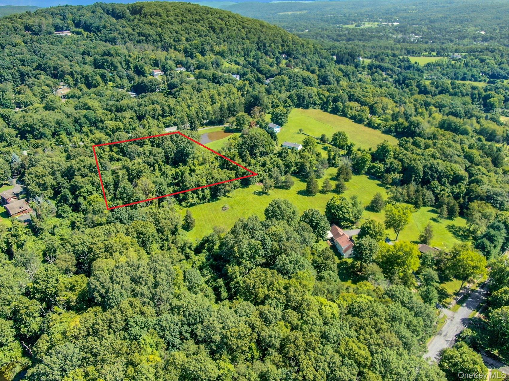 0 Route 55 Property Photo 1