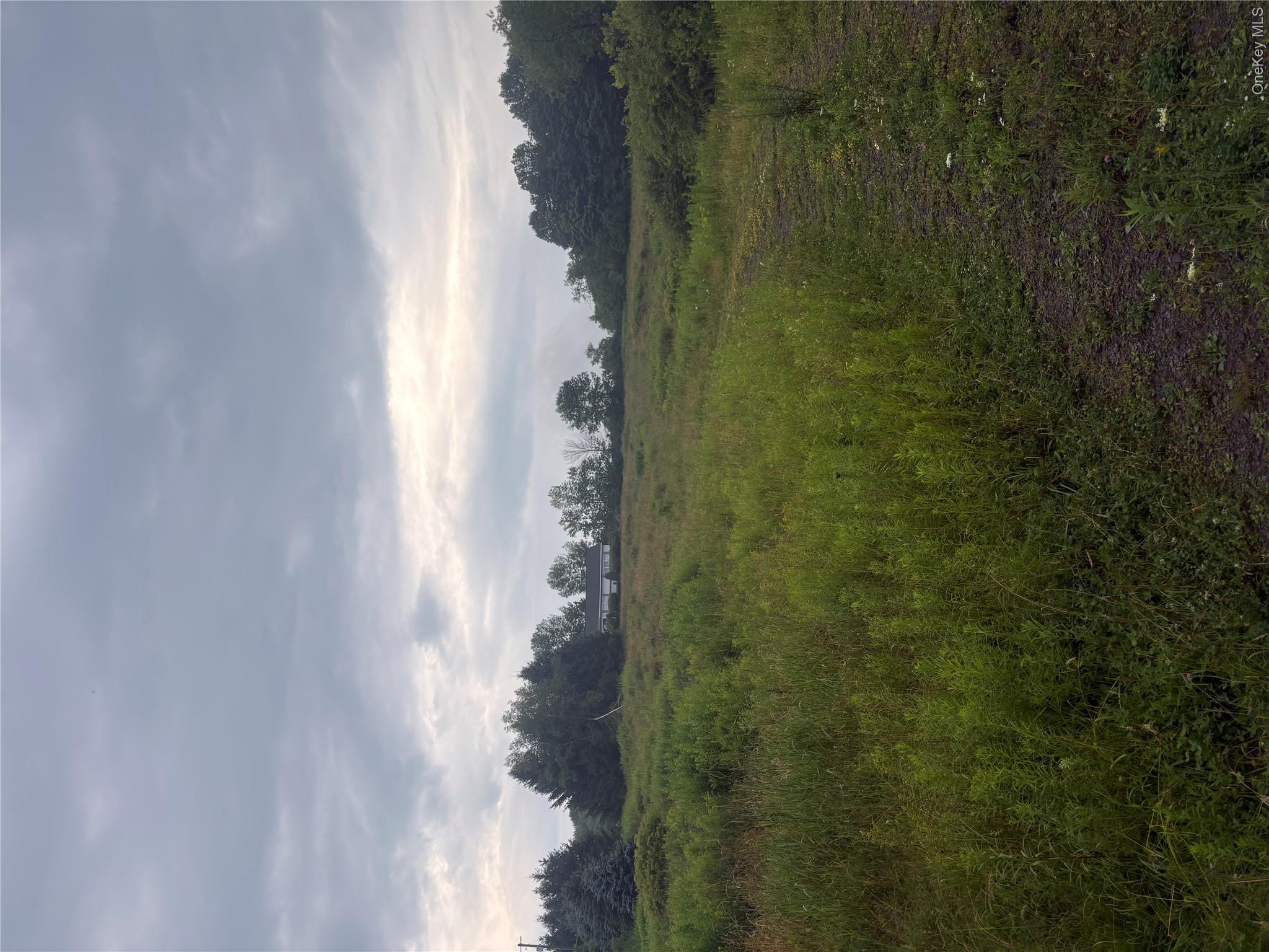 5092 Dryden Road Property Photo 5