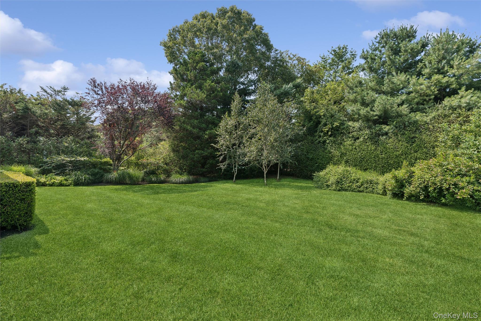 245 Meadows Property Photo 39