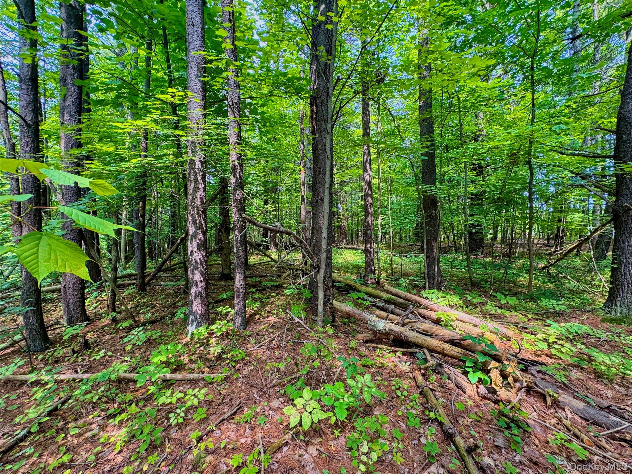 4480 State Route 23 Property Photo 4