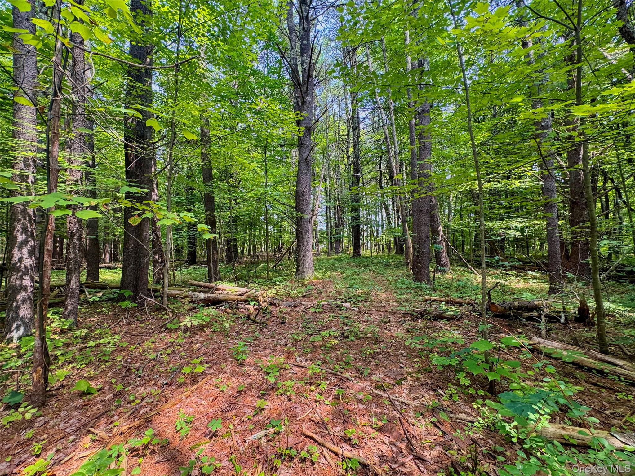 4480 State Route 23 Property Photo 5