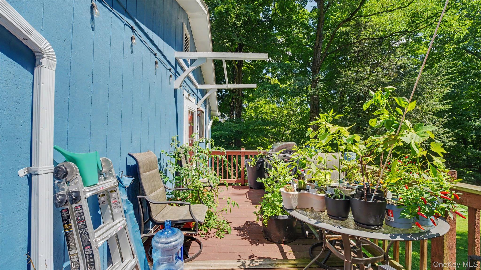 97 Old Road Property Photo 23