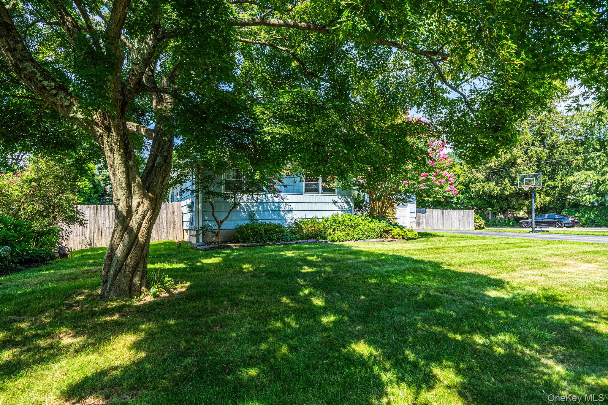 248 6th Avenue Property Photo 4