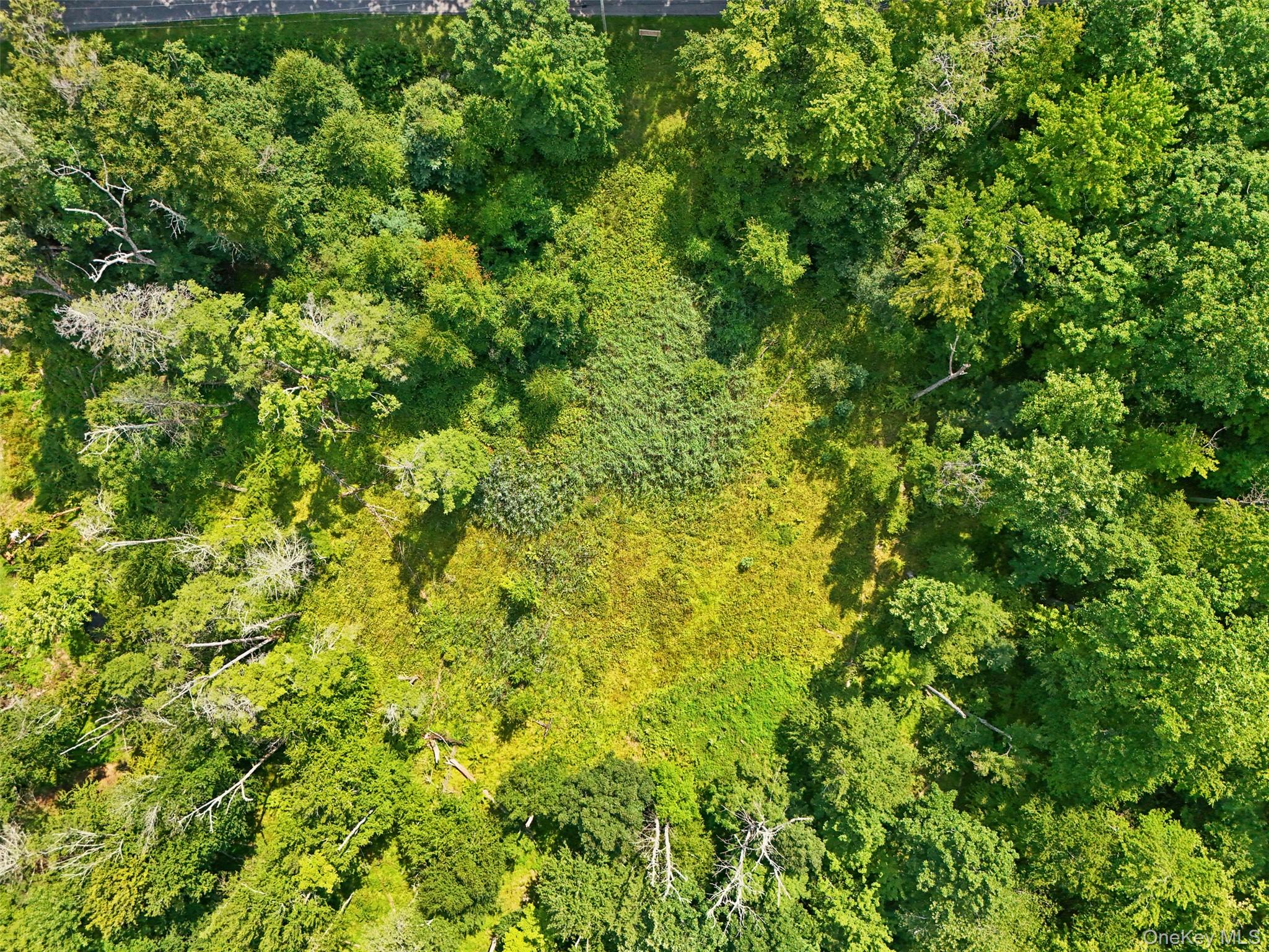 257 Oak Ridge Road Property Photo 5