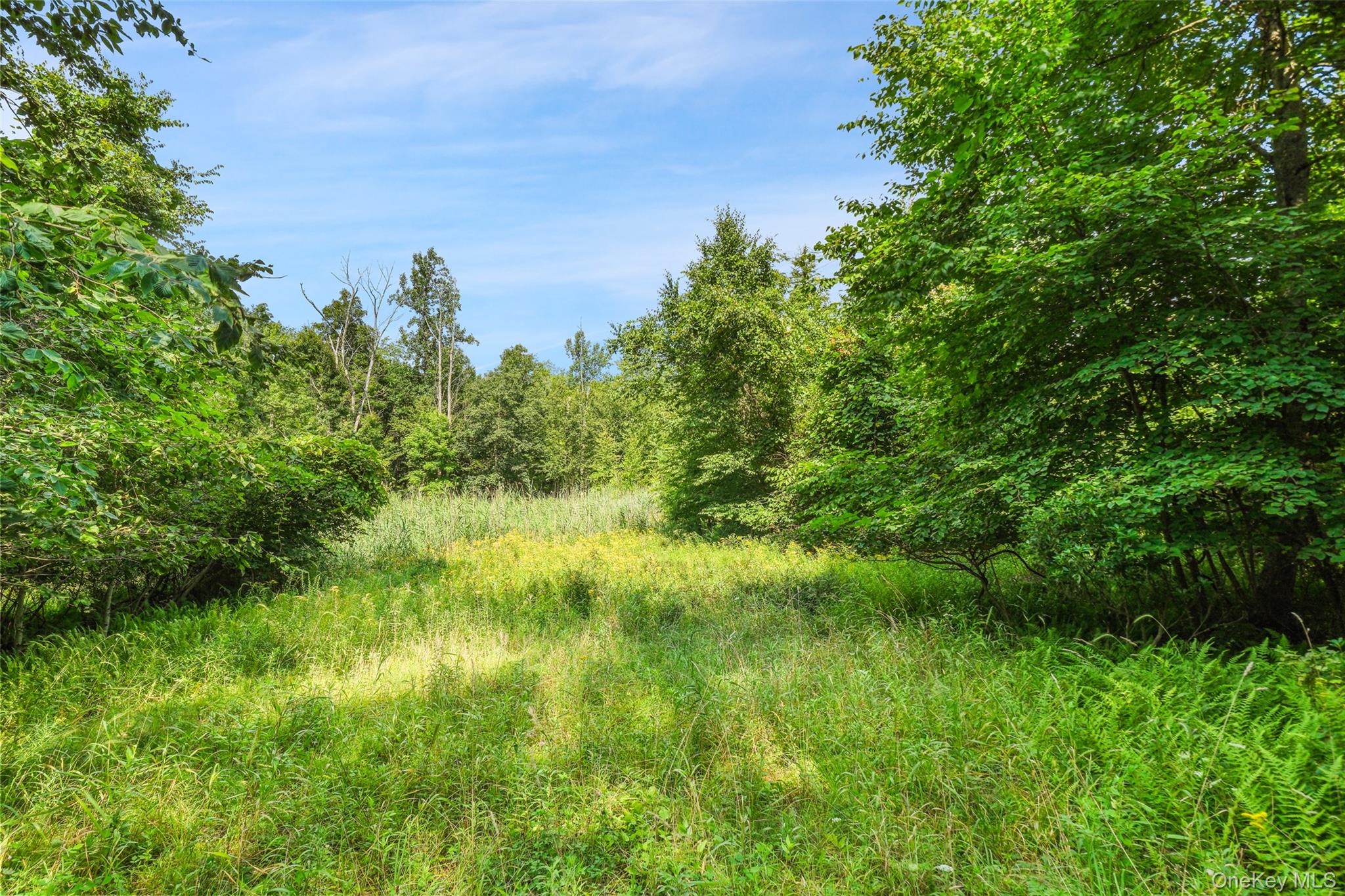 257 Oak Ridge Road Property Photo 13