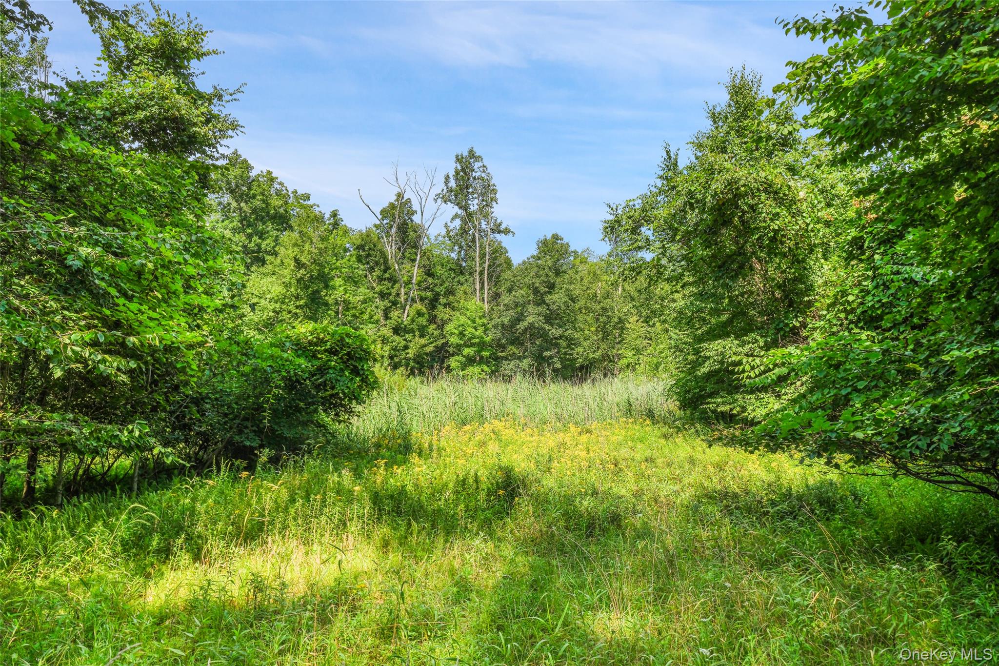 257 Oak Ridge Road Property Photo 14