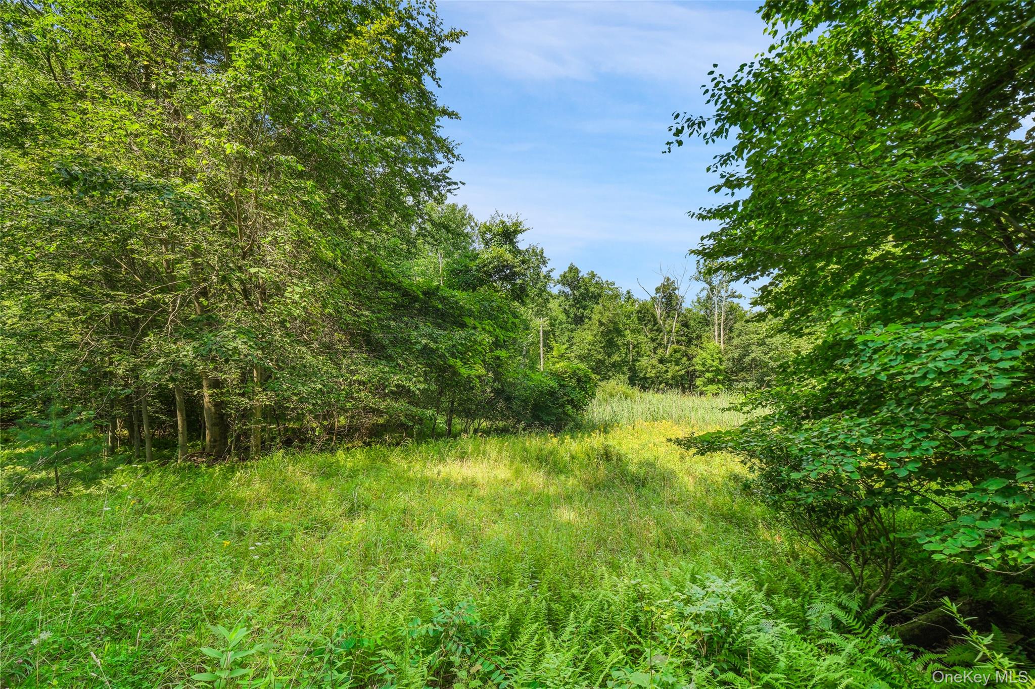 257 Oak Ridge Road Property Photo 15