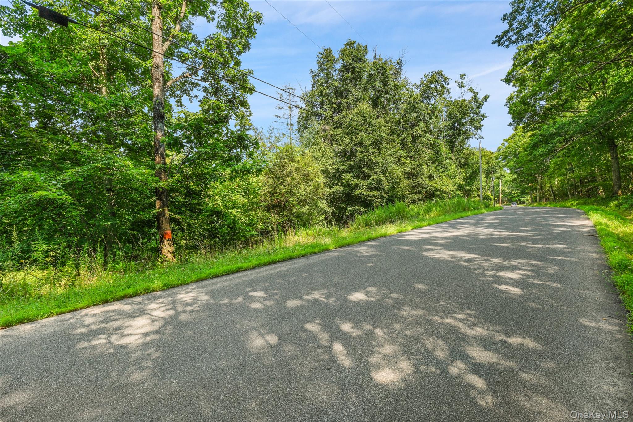 257 Oak Ridge Road Property Photo 17