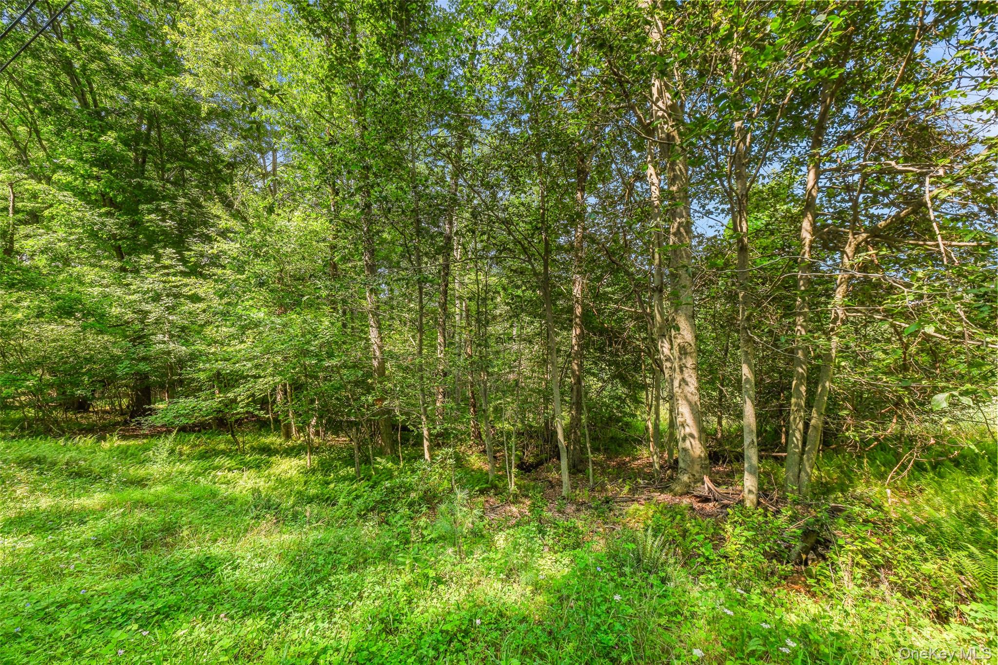 257 Oak Ridge Road Property Photo 18