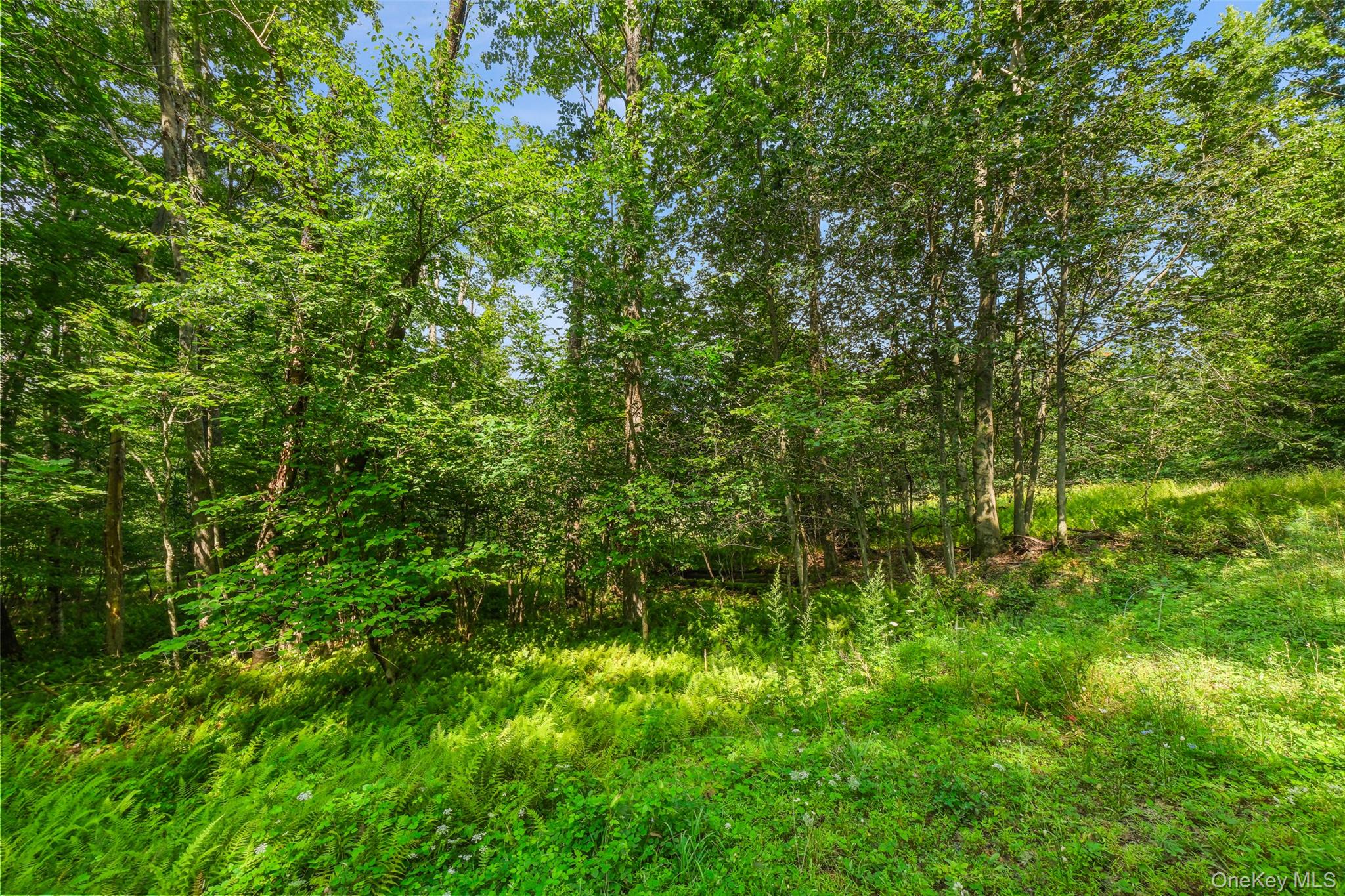 257 Oak Ridge Road Property Photo 19