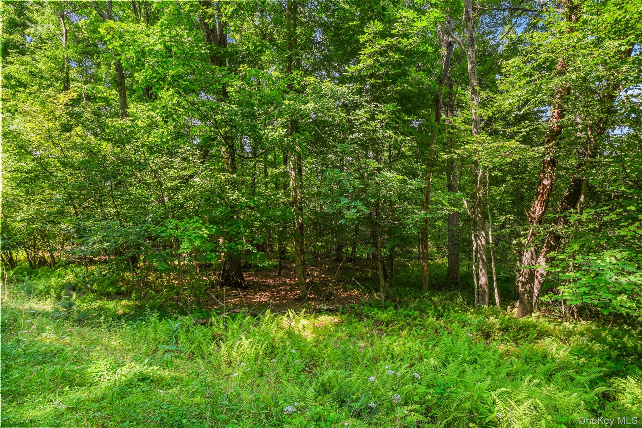 257 Oak Ridge Road Property Photo 20