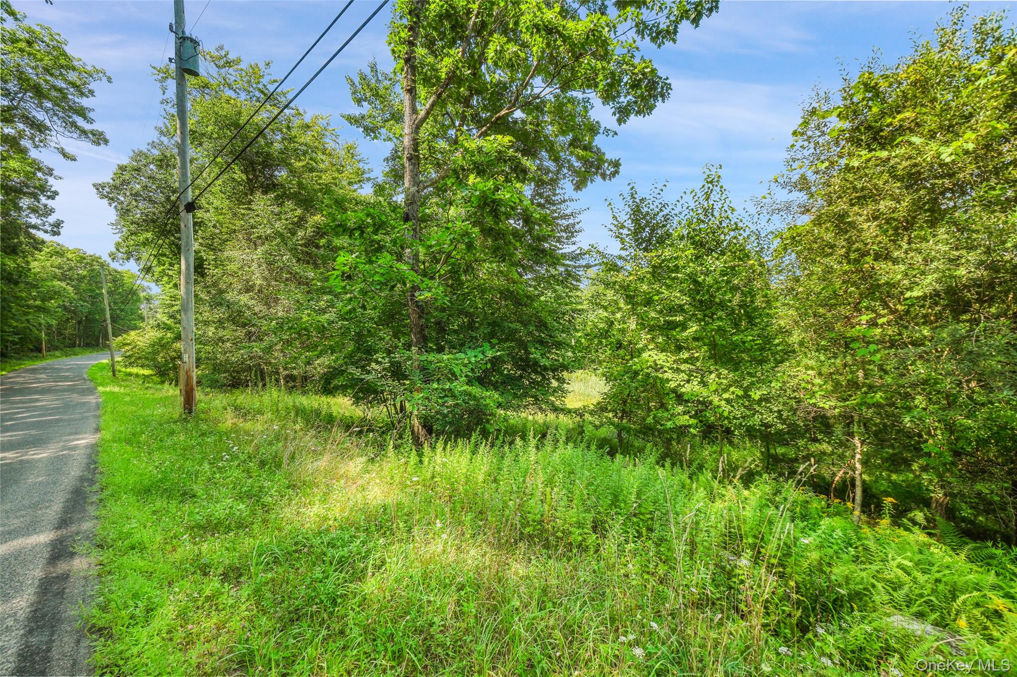 257 Oak Ridge Road Property Photo 23