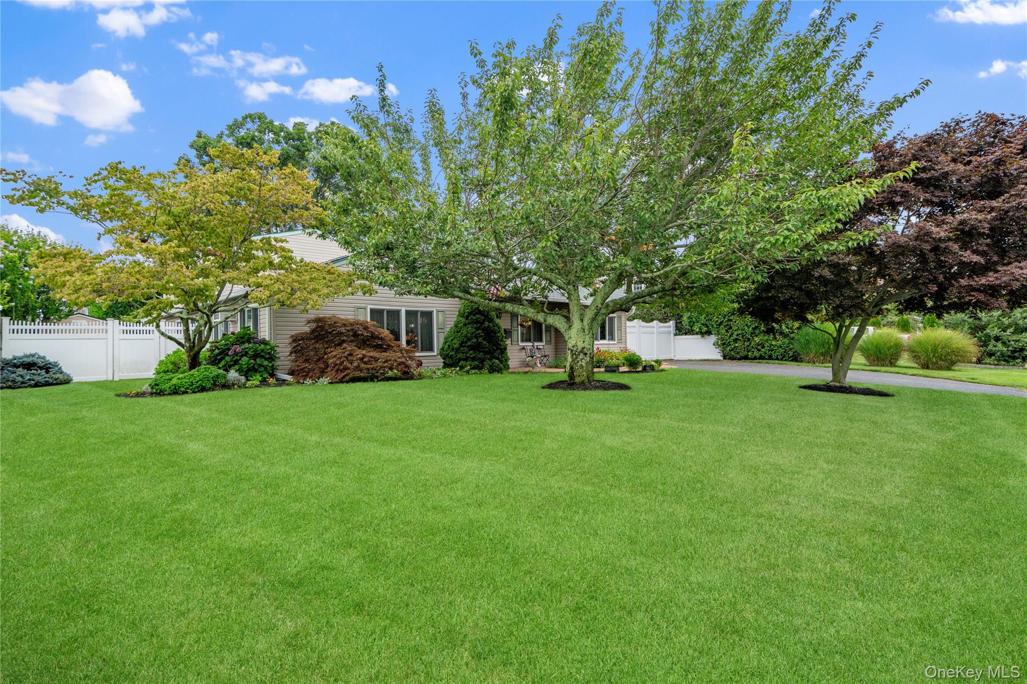 411 8th Street Property Photo 2