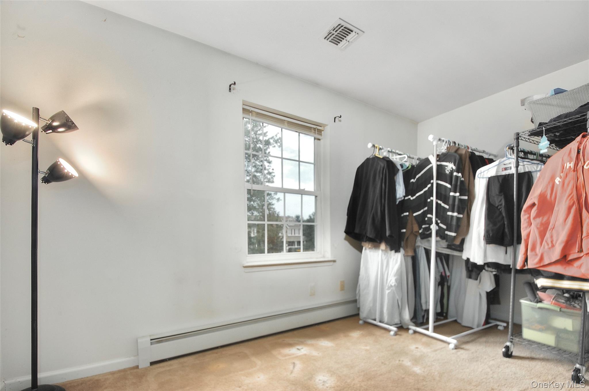 7 Frances Lane Property Photo 33