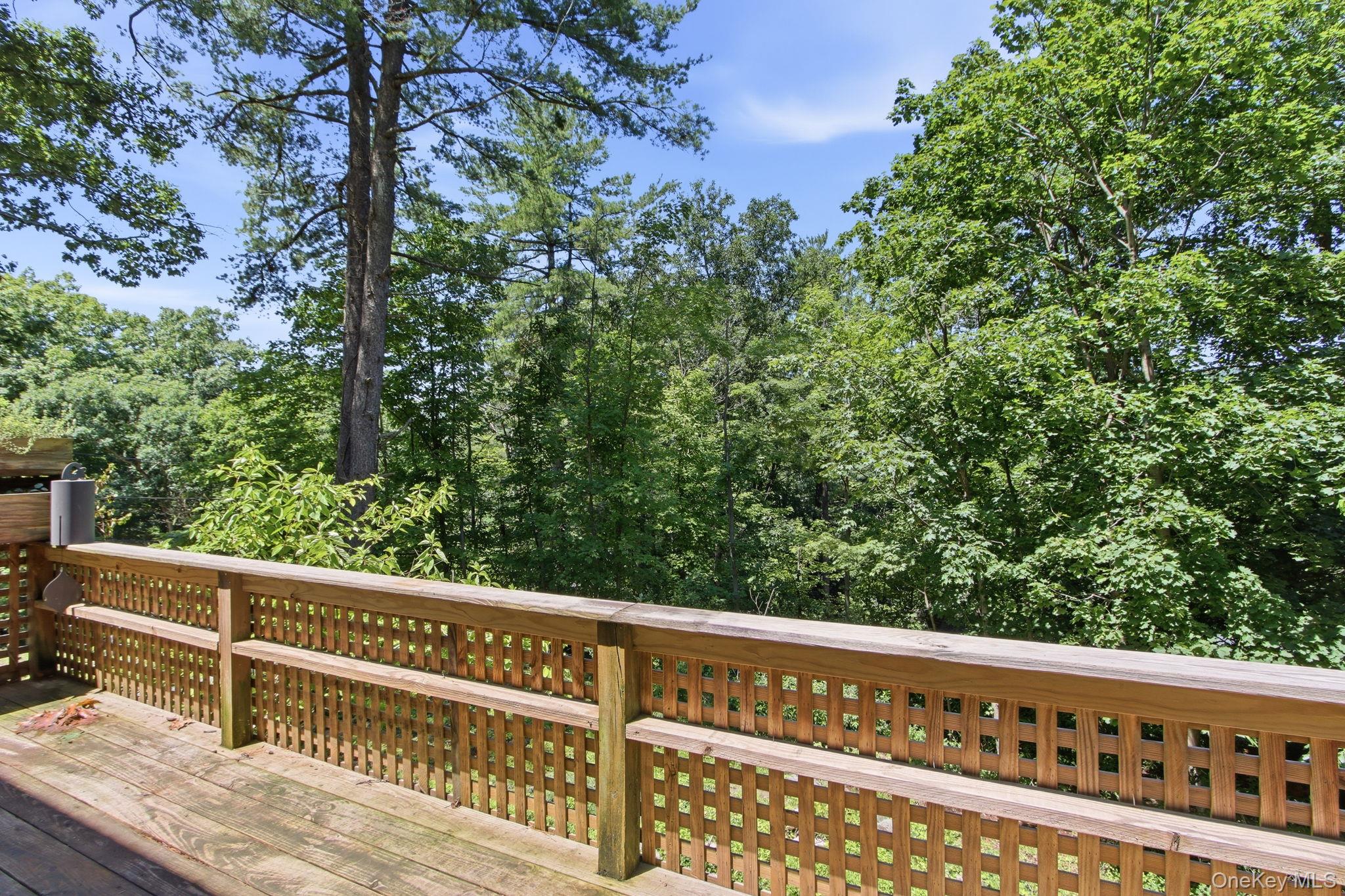 27 Rumsey Road Property Photo 20