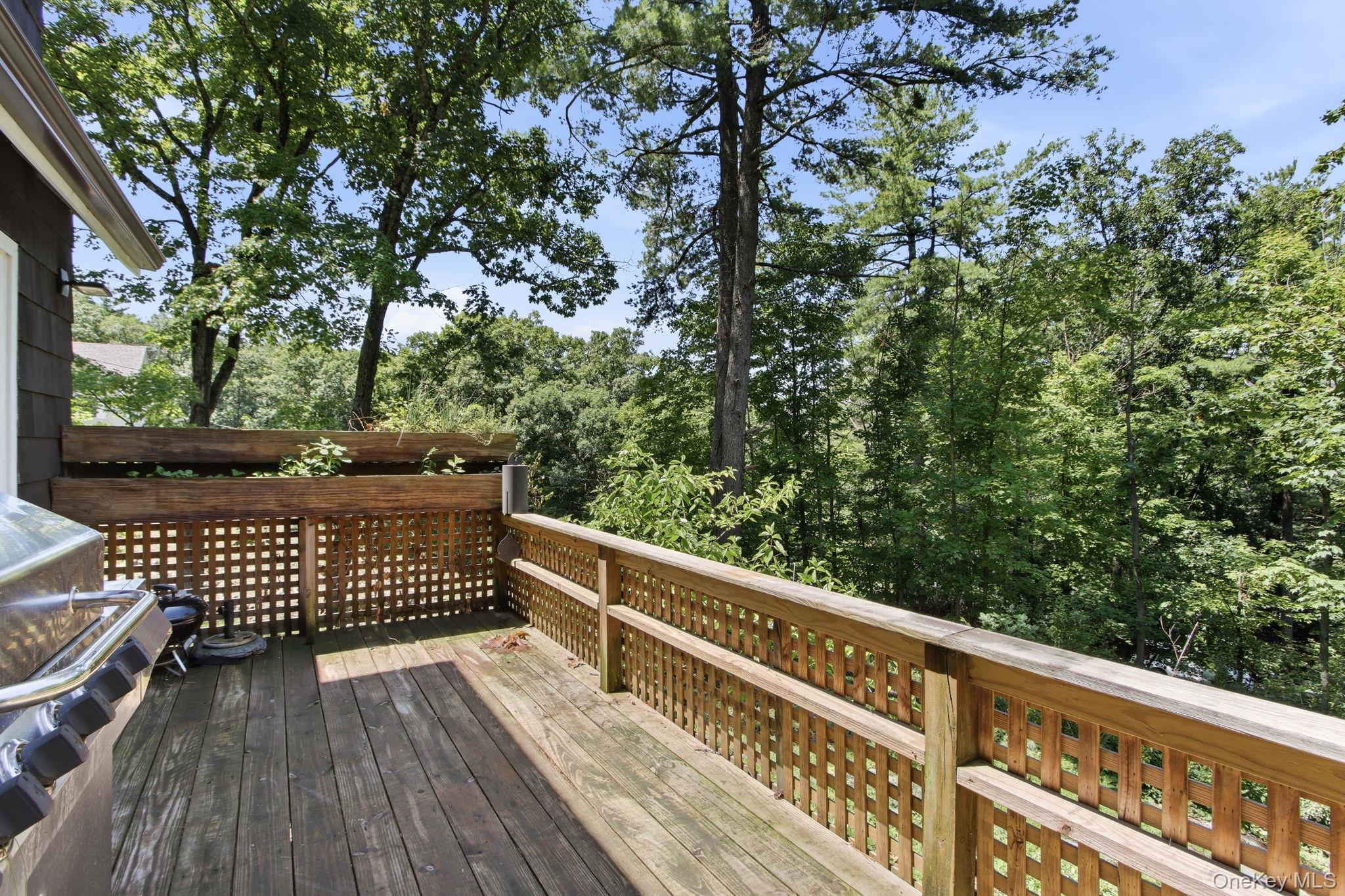 27 Rumsey Road Property Photo 21
