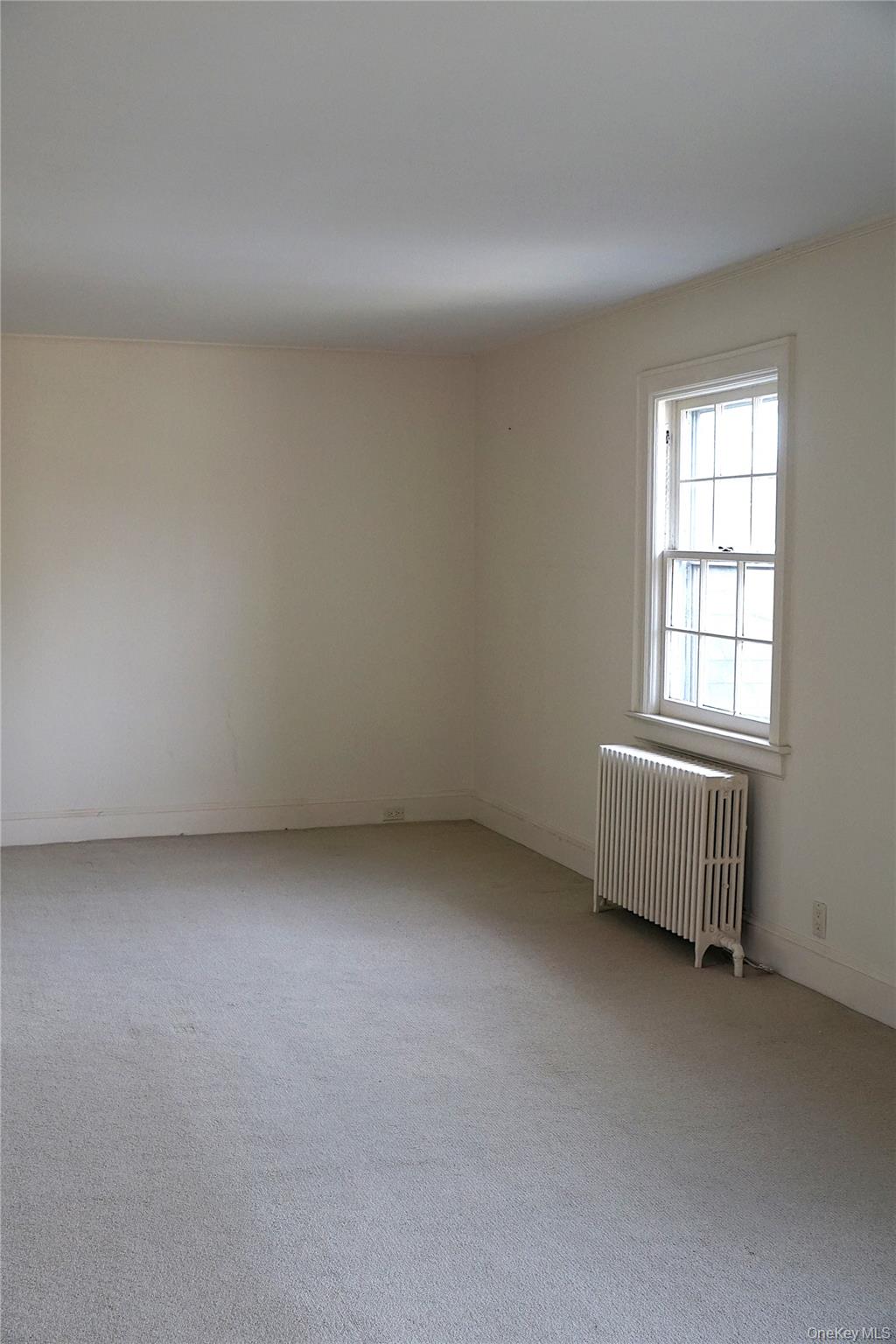 16 Bon Air Avenue Property Photo 21