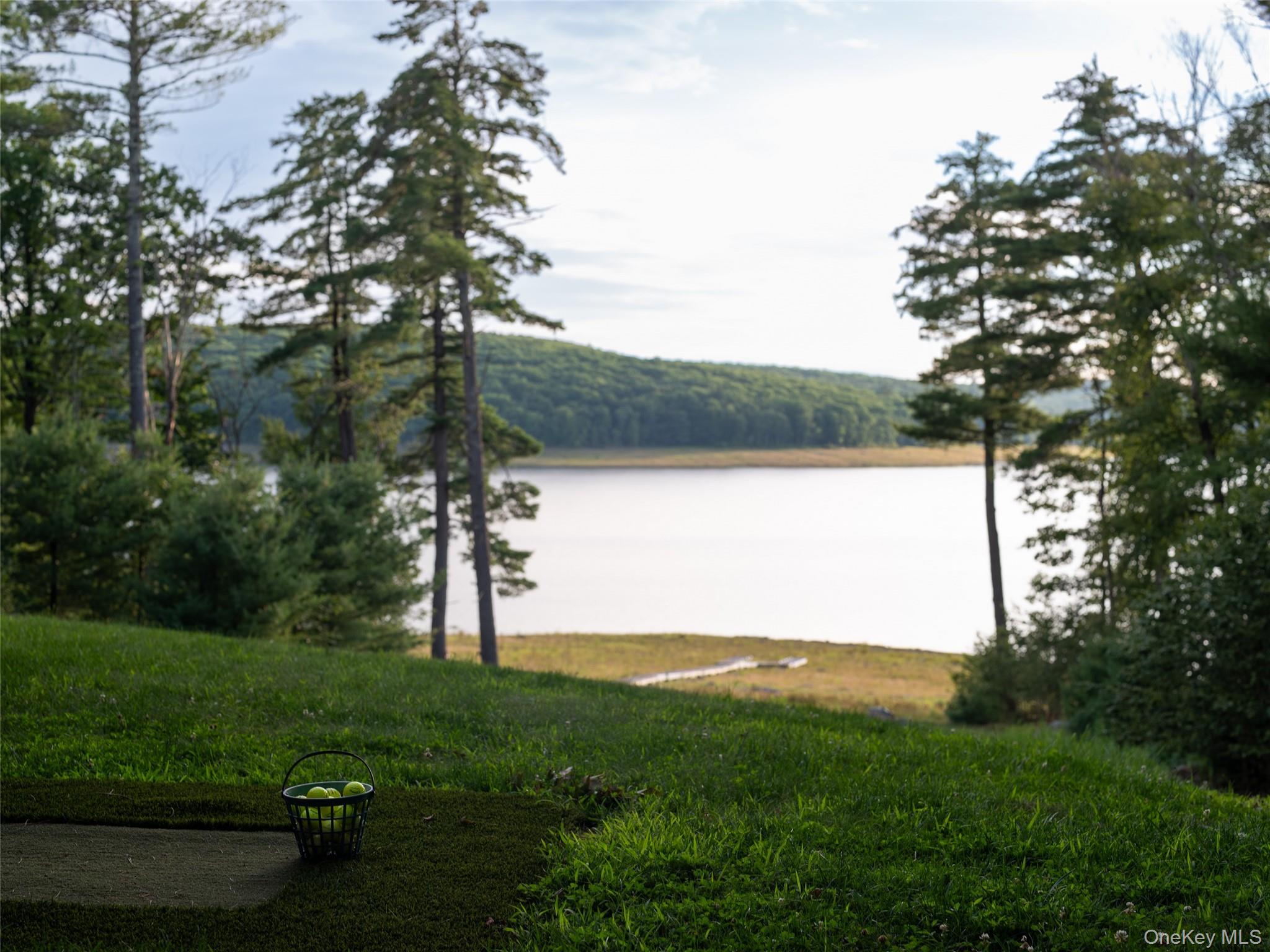 60 Top Ridge Trail Property Photo 3