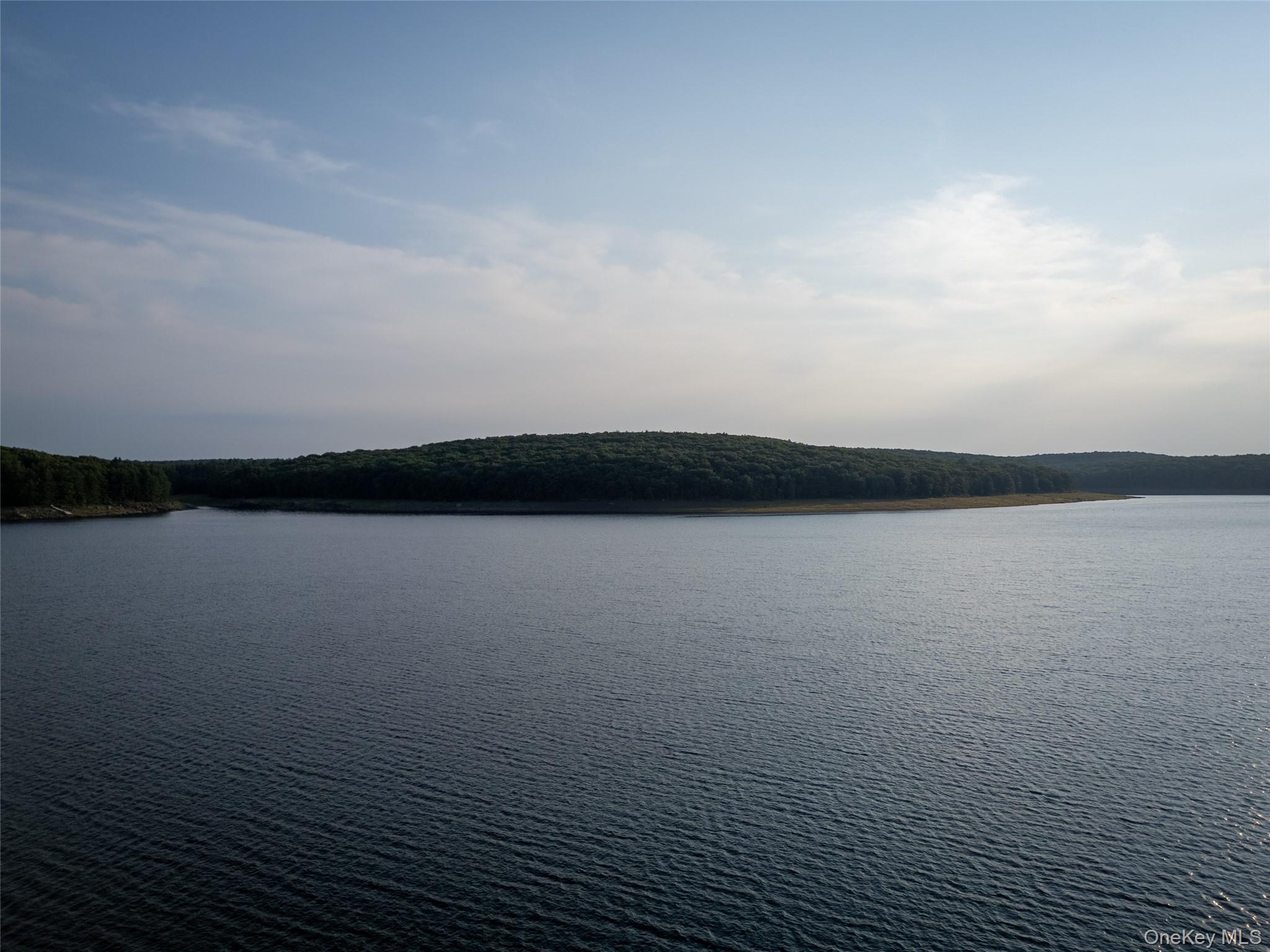 60 Top Ridge Trail Property Photo 46