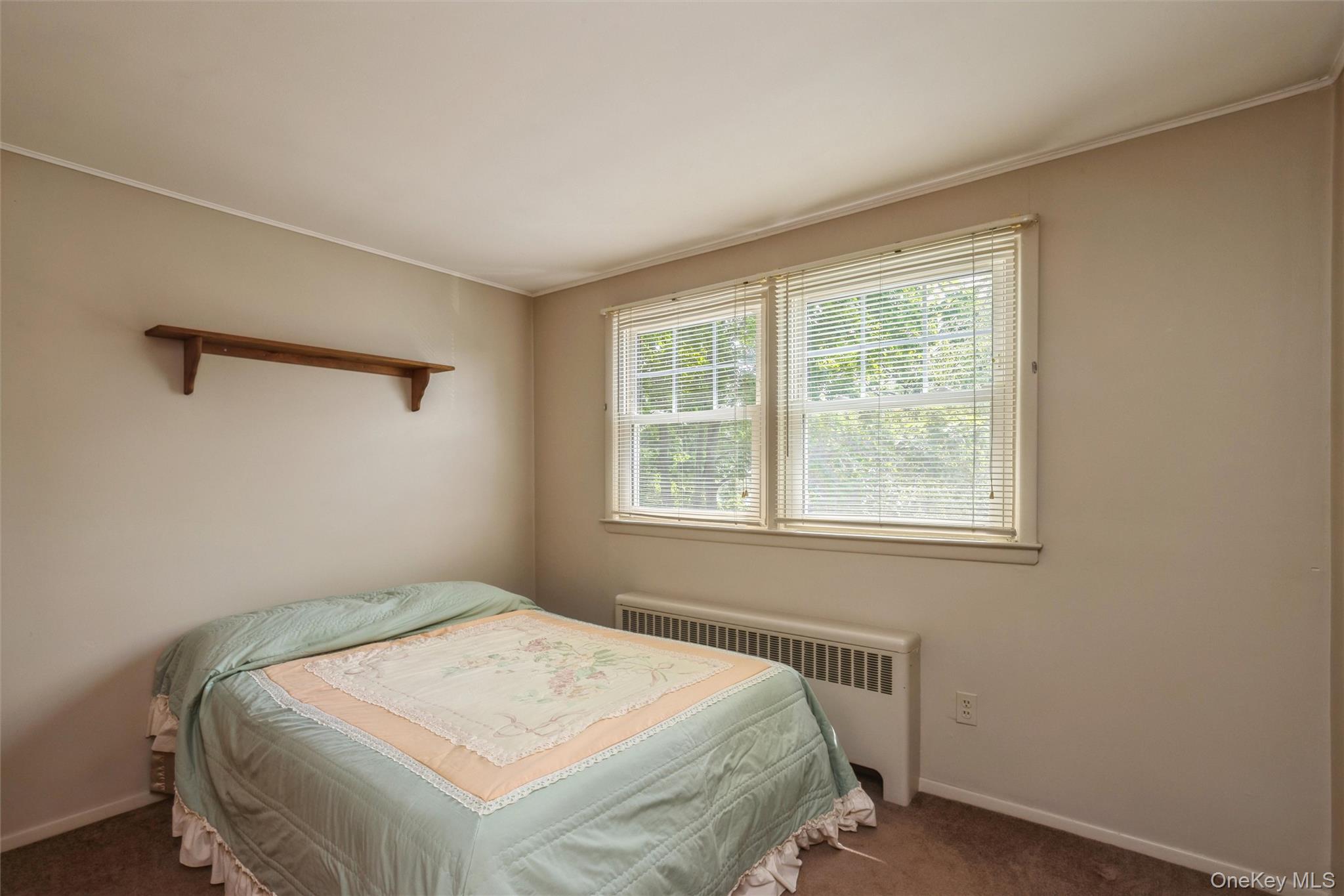 27 Litchfield Avenue Property Photo 17