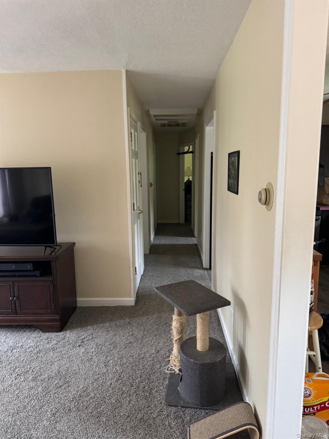 1 Tappan Drive Property Photo 6